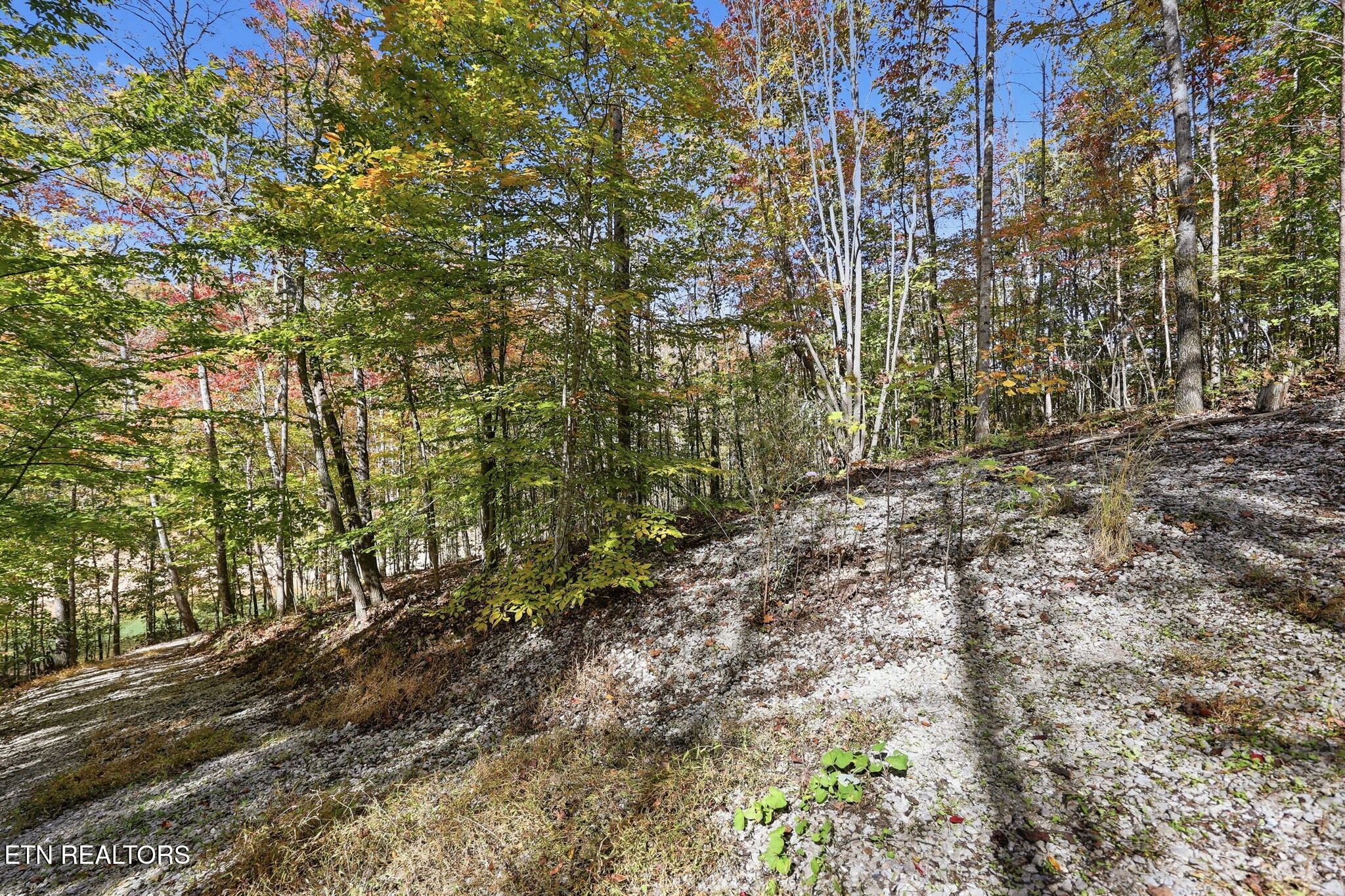 811 Big Creek Road Lafollette TN 37766