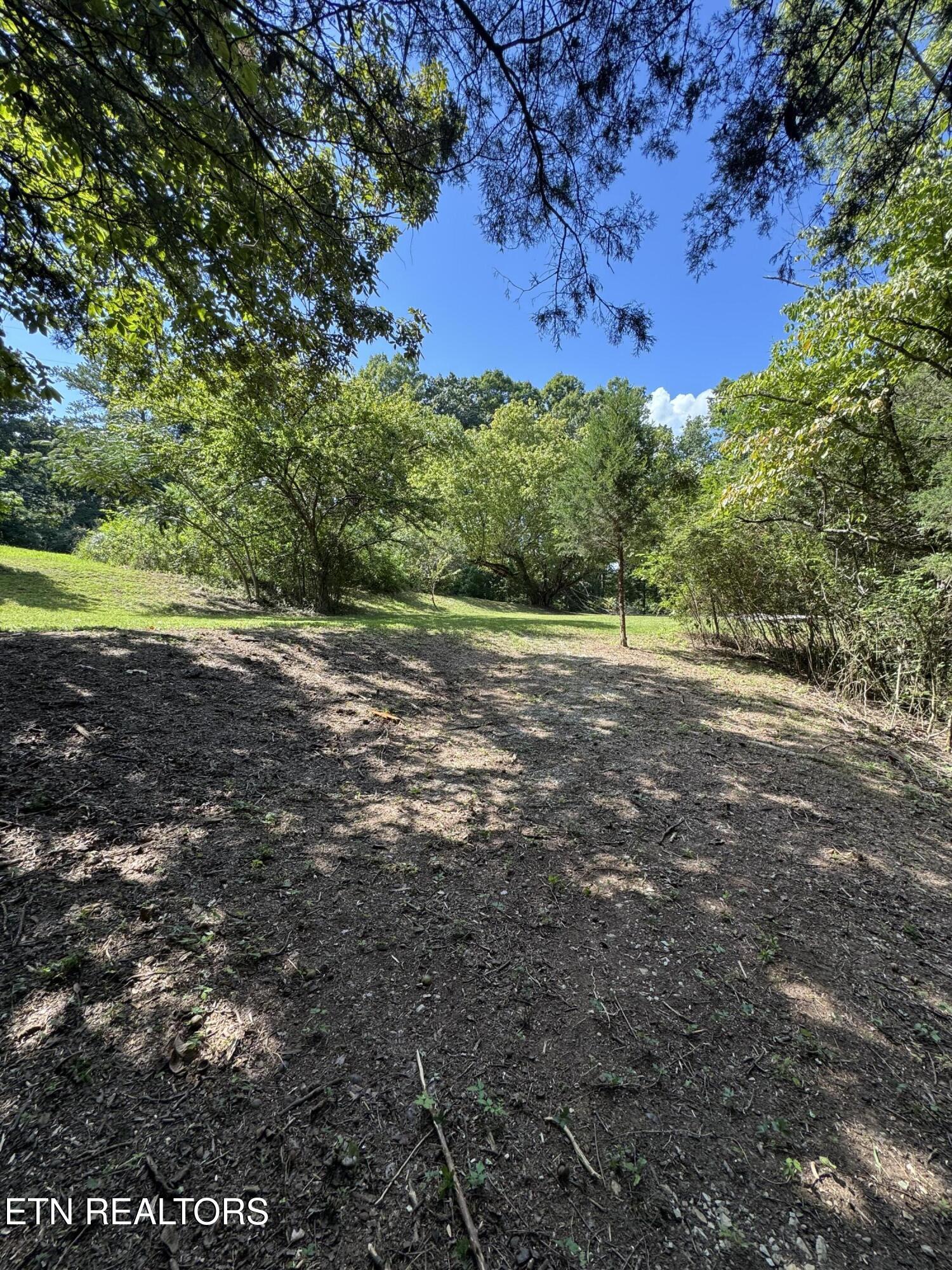 1703 River Road Decatur TN 37322
