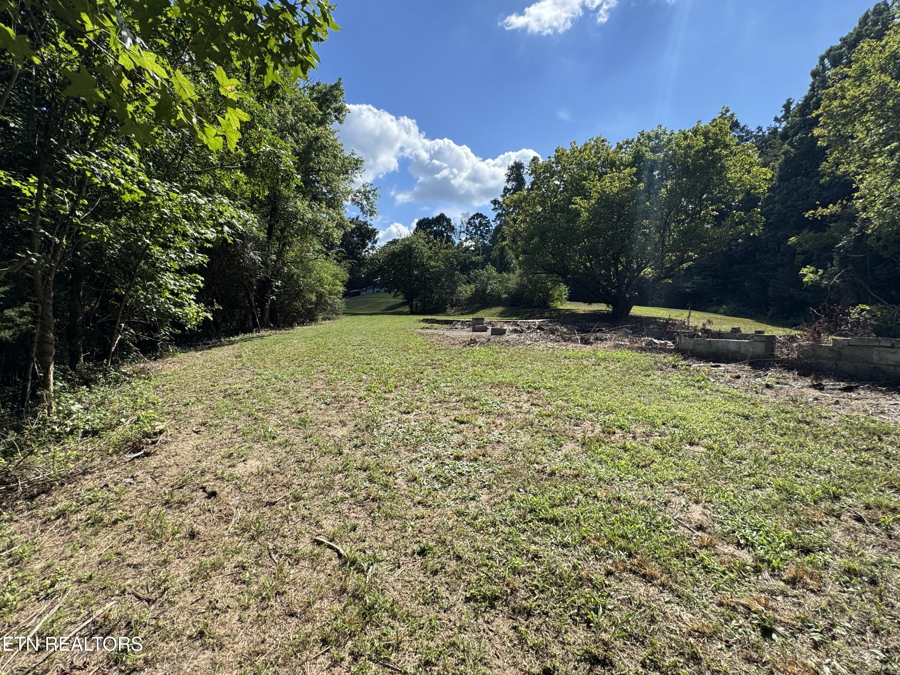 1703 River Road Decatur TN 37322