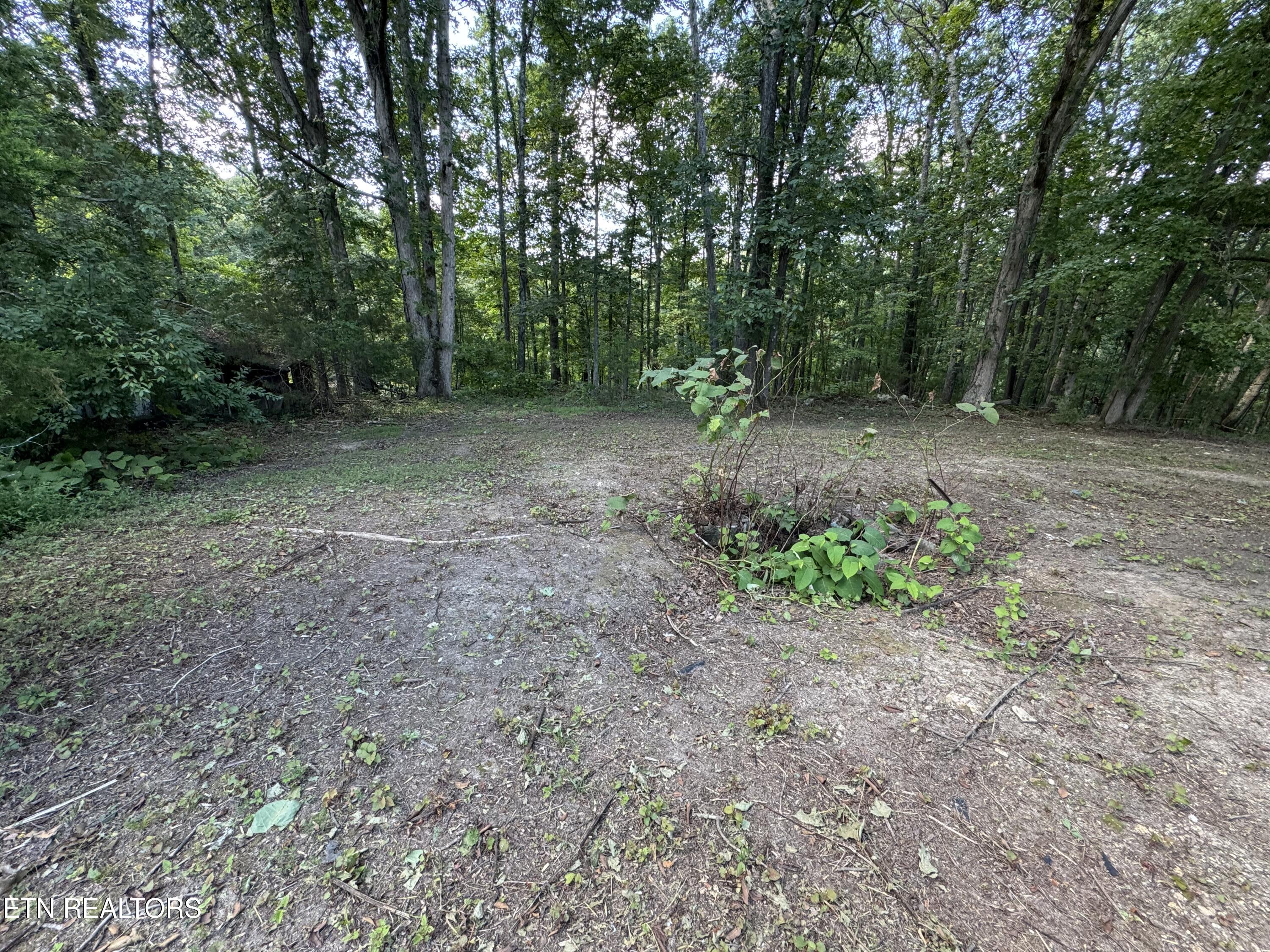 1703 River Road Decatur TN 37322