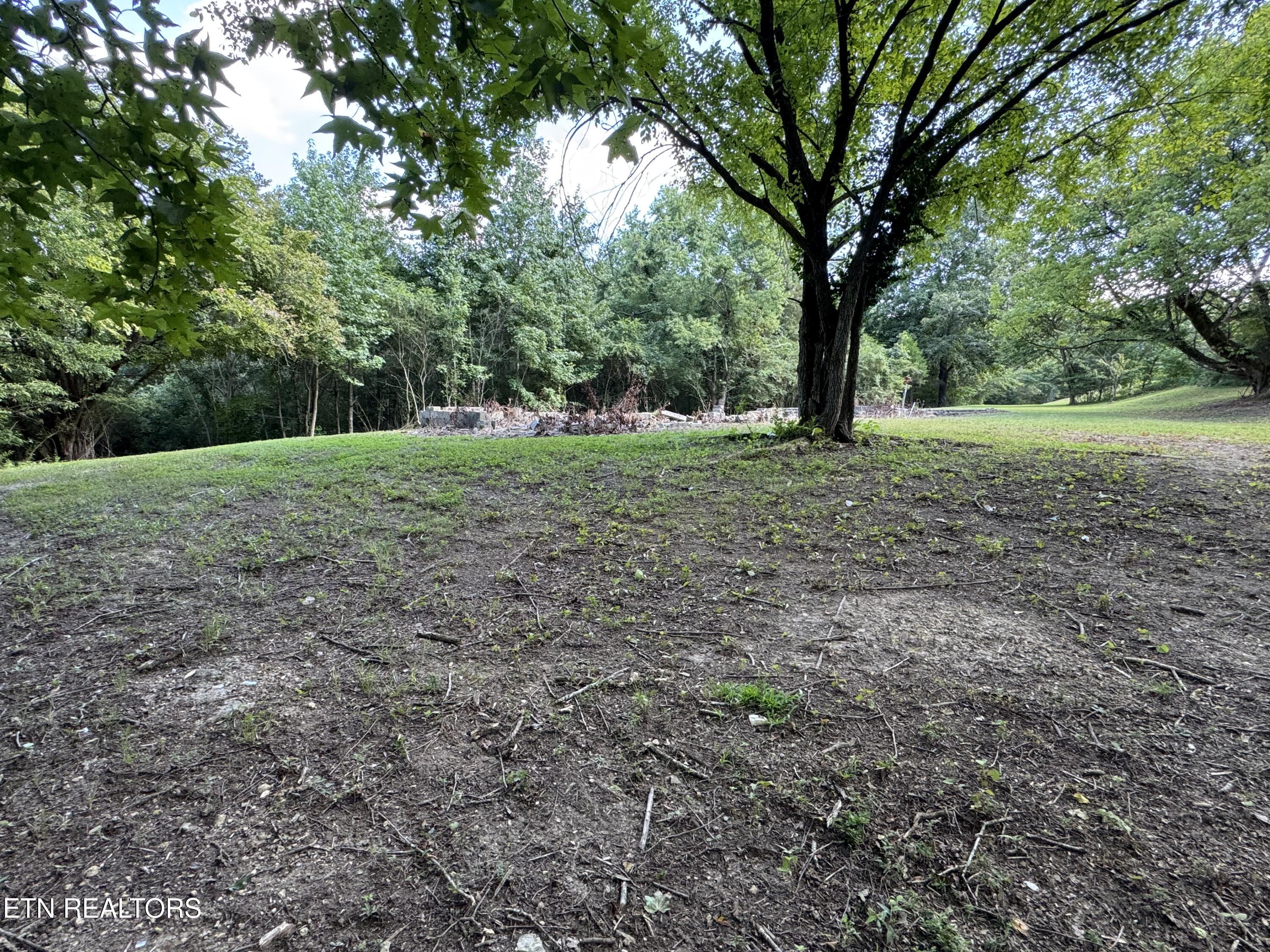 1703 River Road Decatur TN 37322