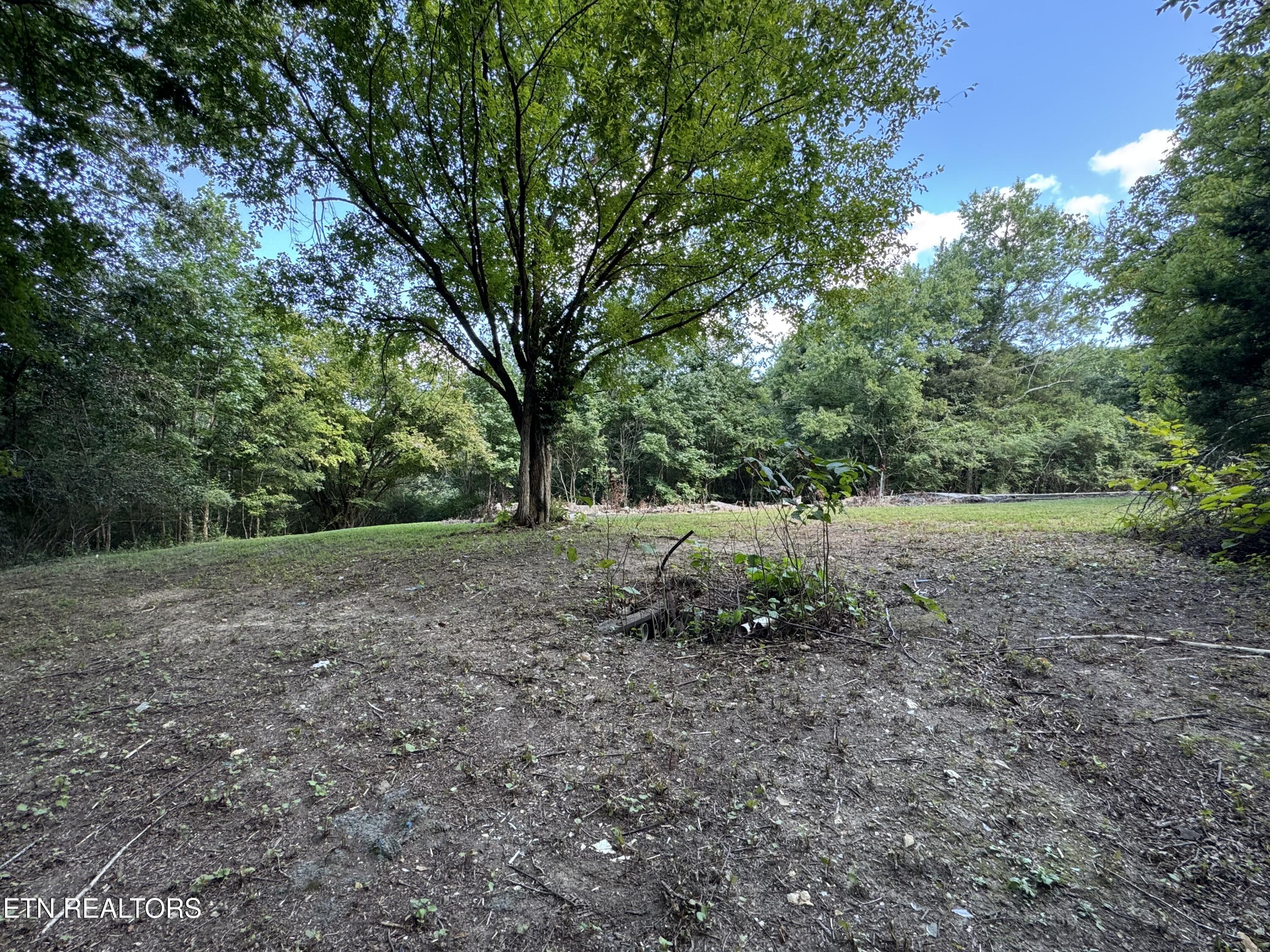 1703 River Road Decatur TN 37322
