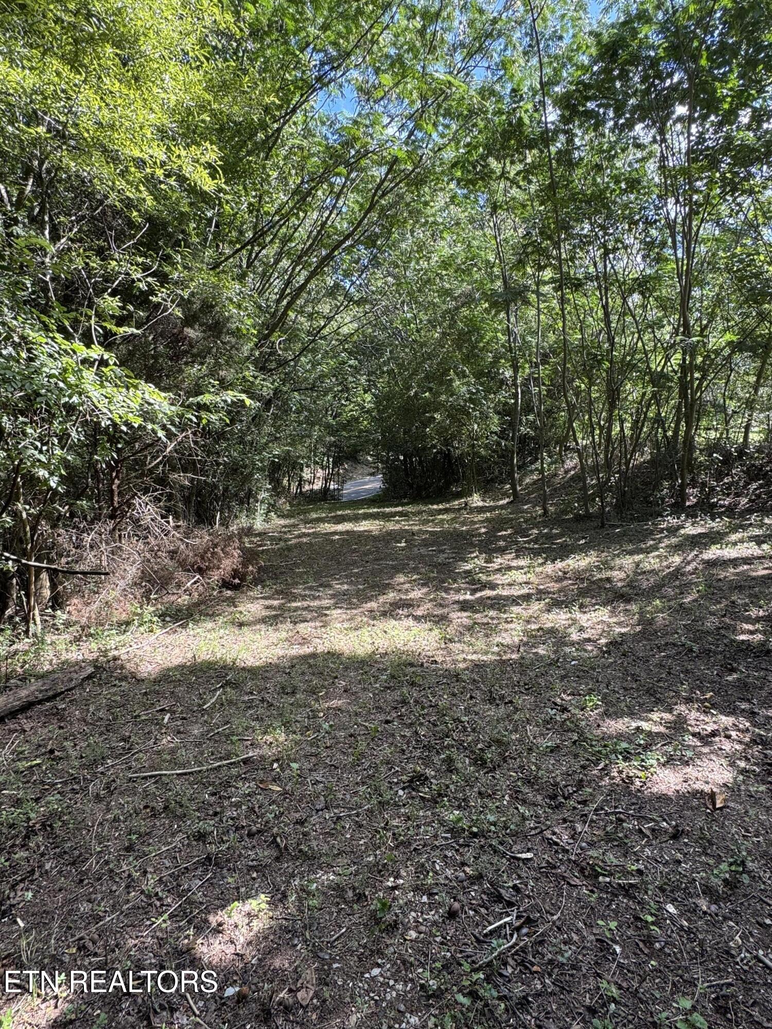 1703 River Road Decatur TN 37322