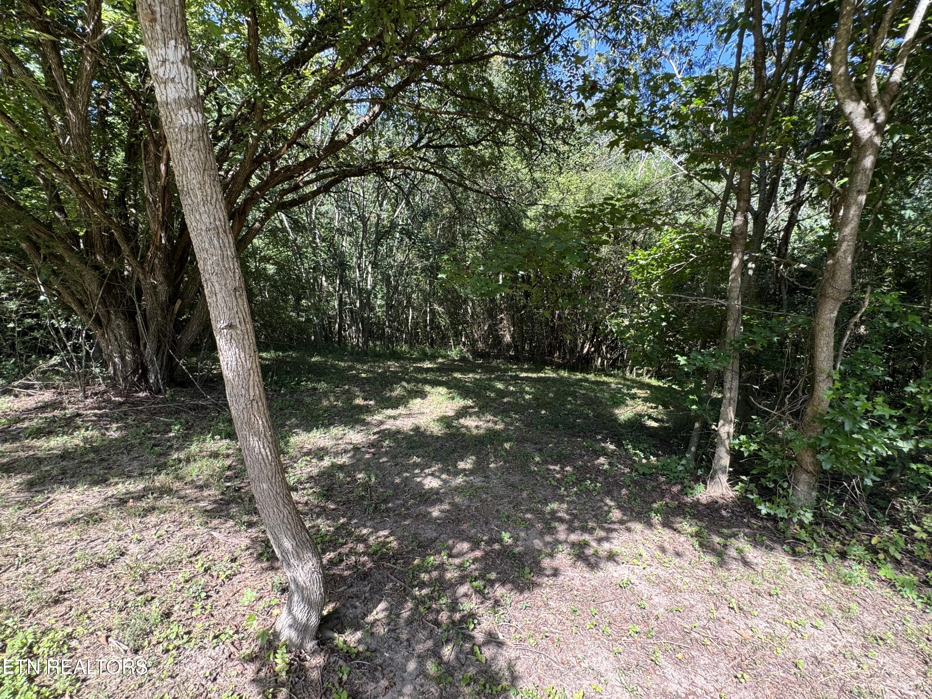 1703 River Road Decatur TN 37322