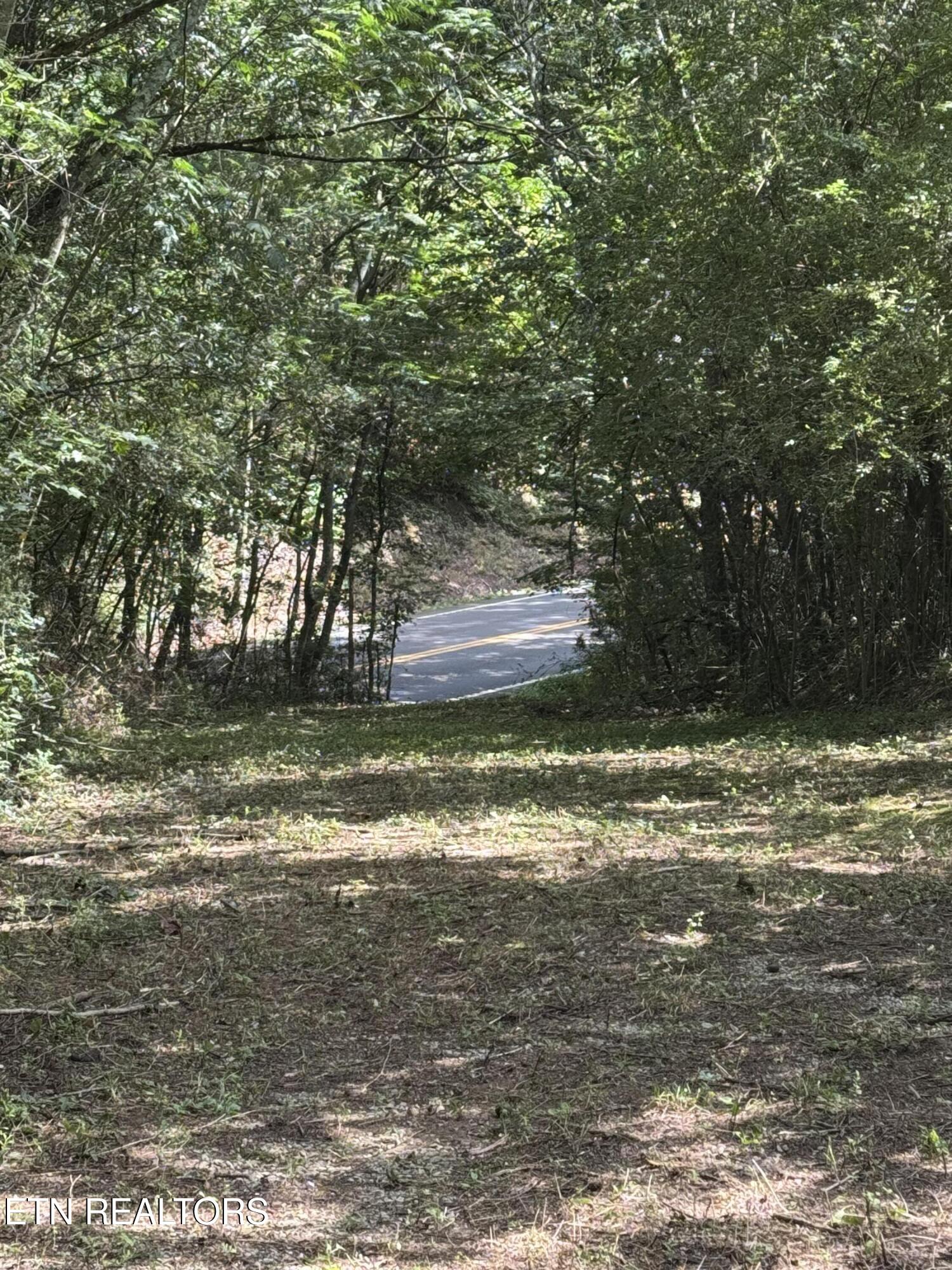 1703 River Road Decatur TN 37322