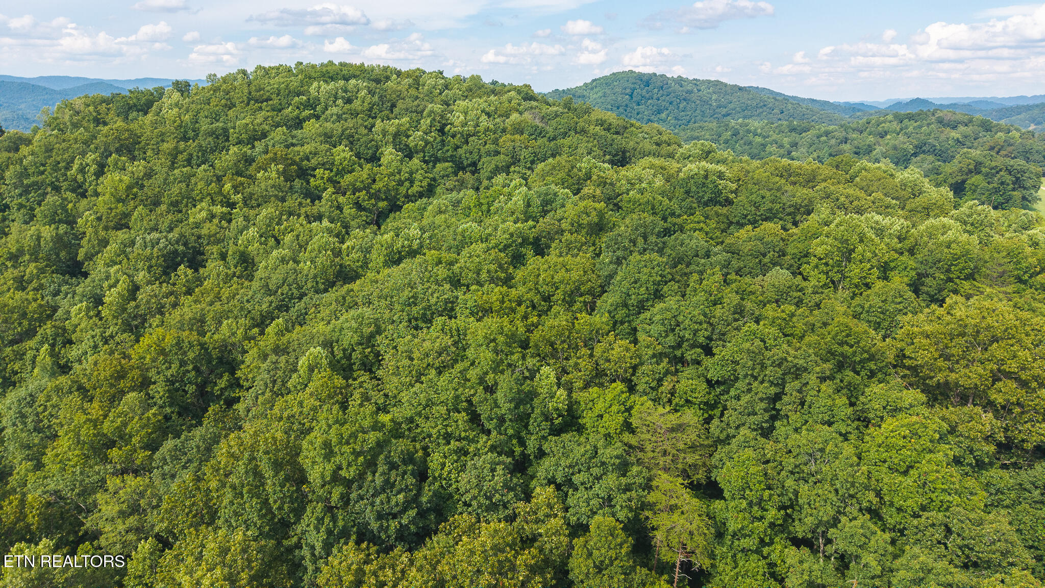 0 Gravely Valley Road Eidson TN 37731