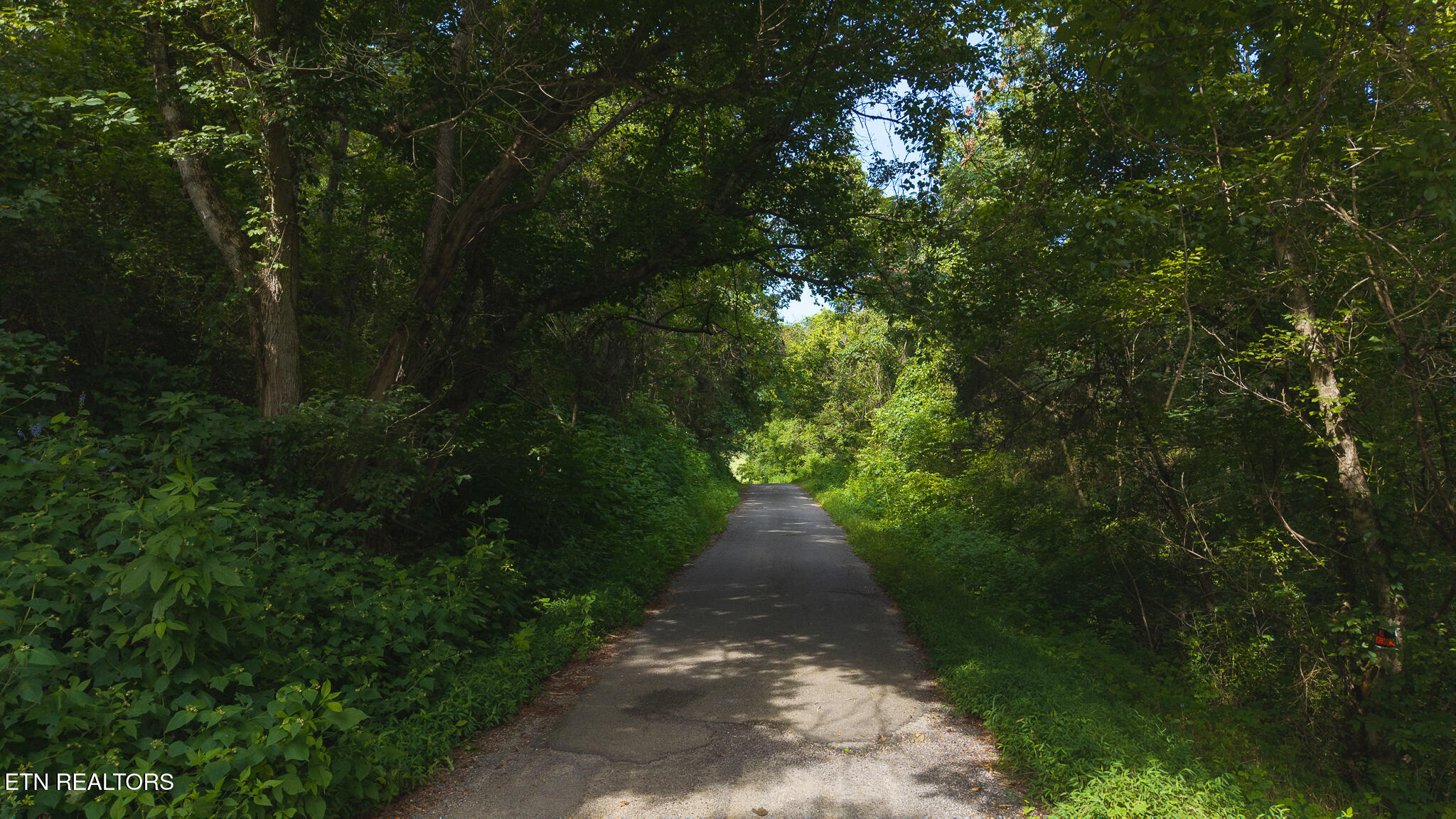 0 Gravely Valley Road Eidson TN 37731
