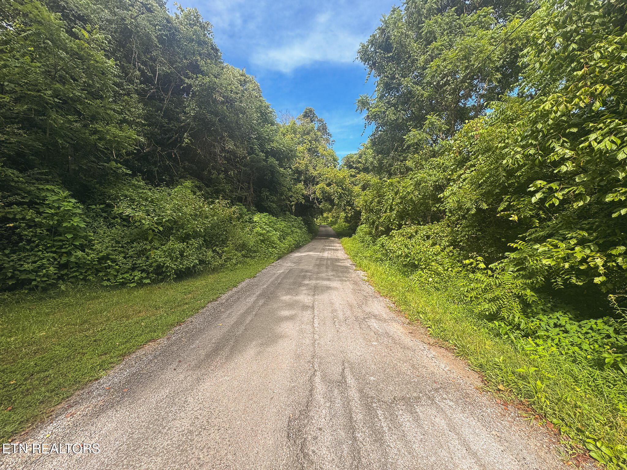 0 Gravely Valley Road Eidson TN 37731