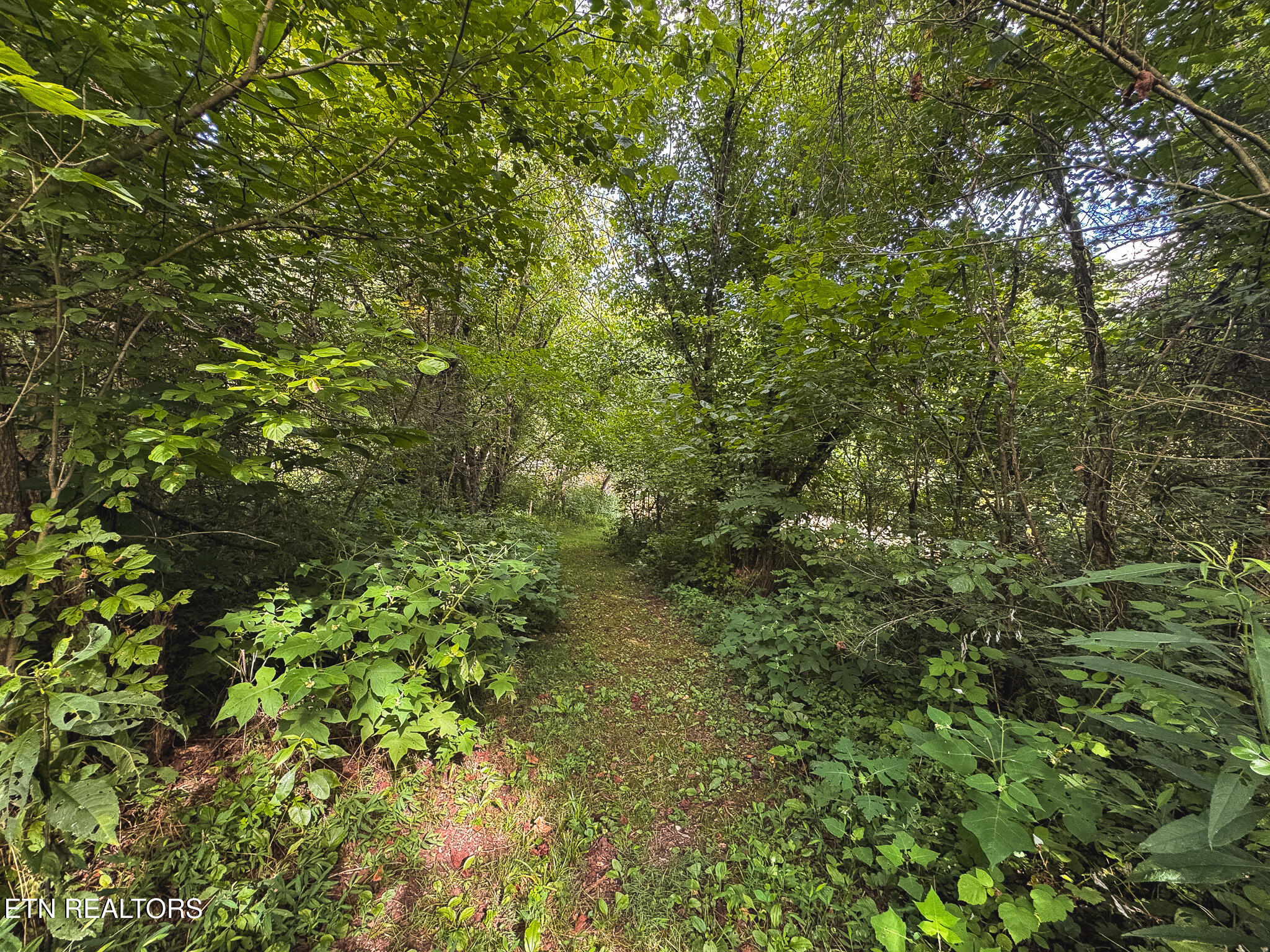 0 Gravely Valley Road Eidson TN 37731