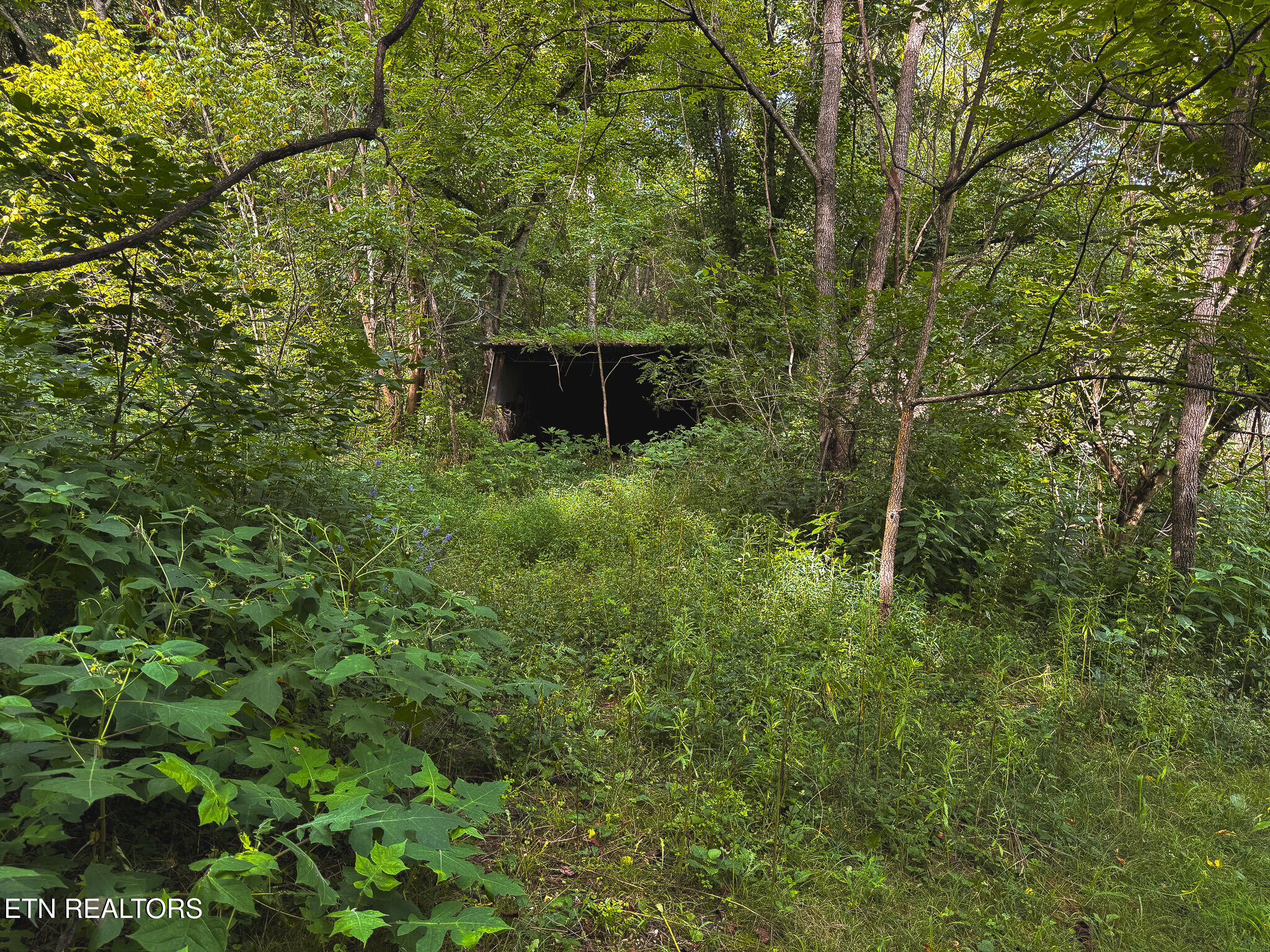 0 Gravely Valley Road Eidson TN 37731