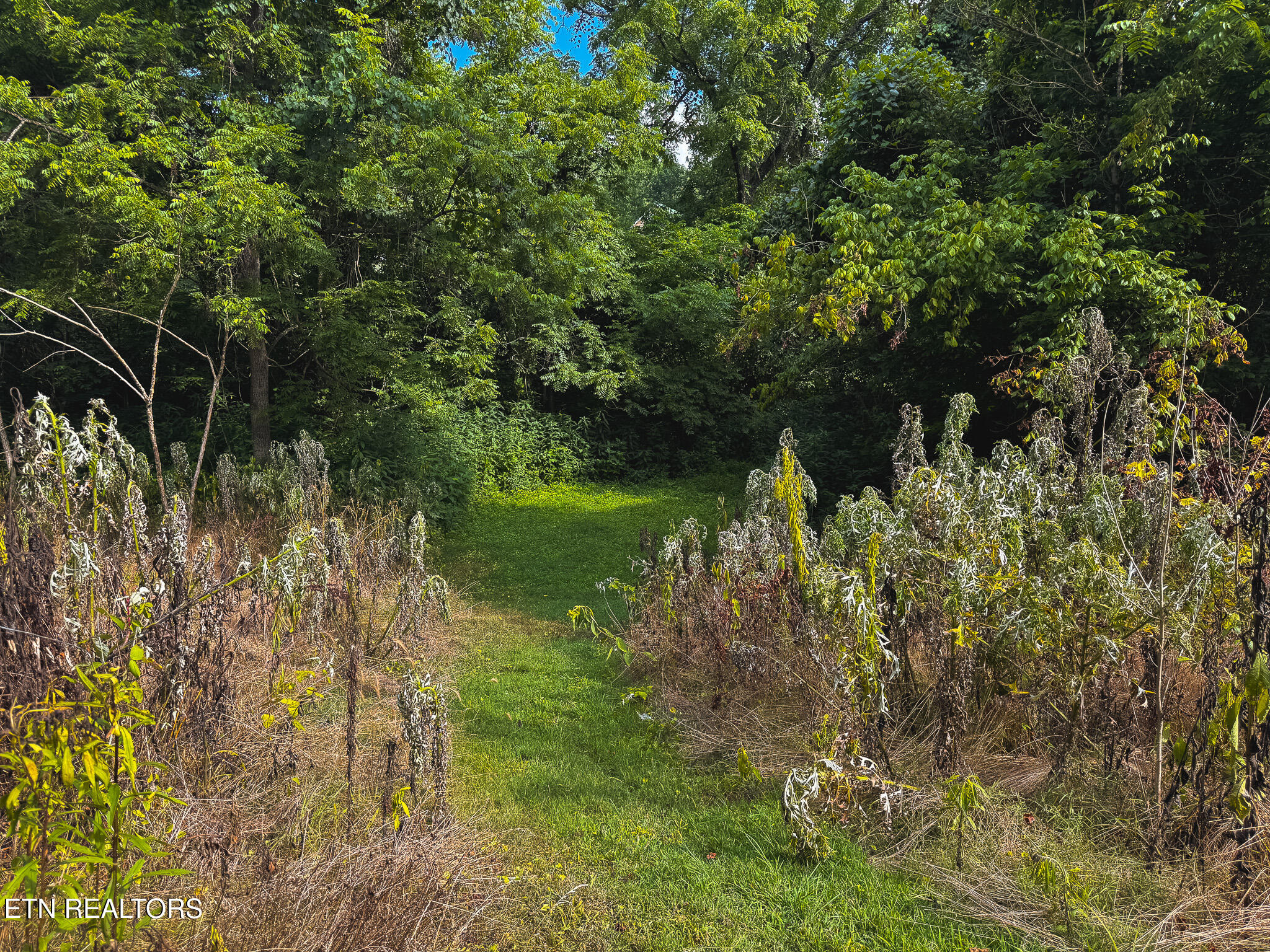 0 Gravely Valley Road Eidson TN 37731