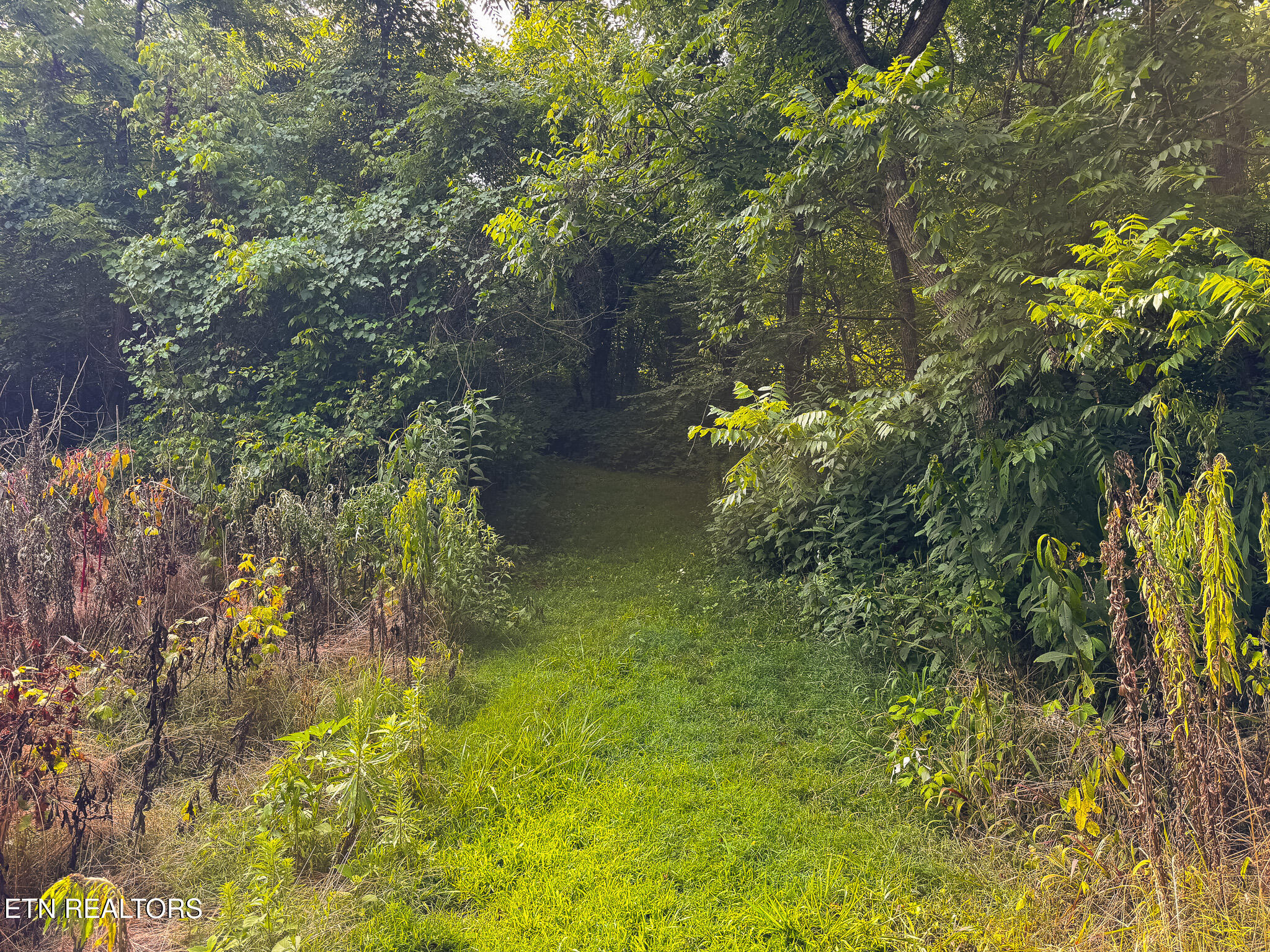 0 Gravely Valley Road Eidson TN 37731