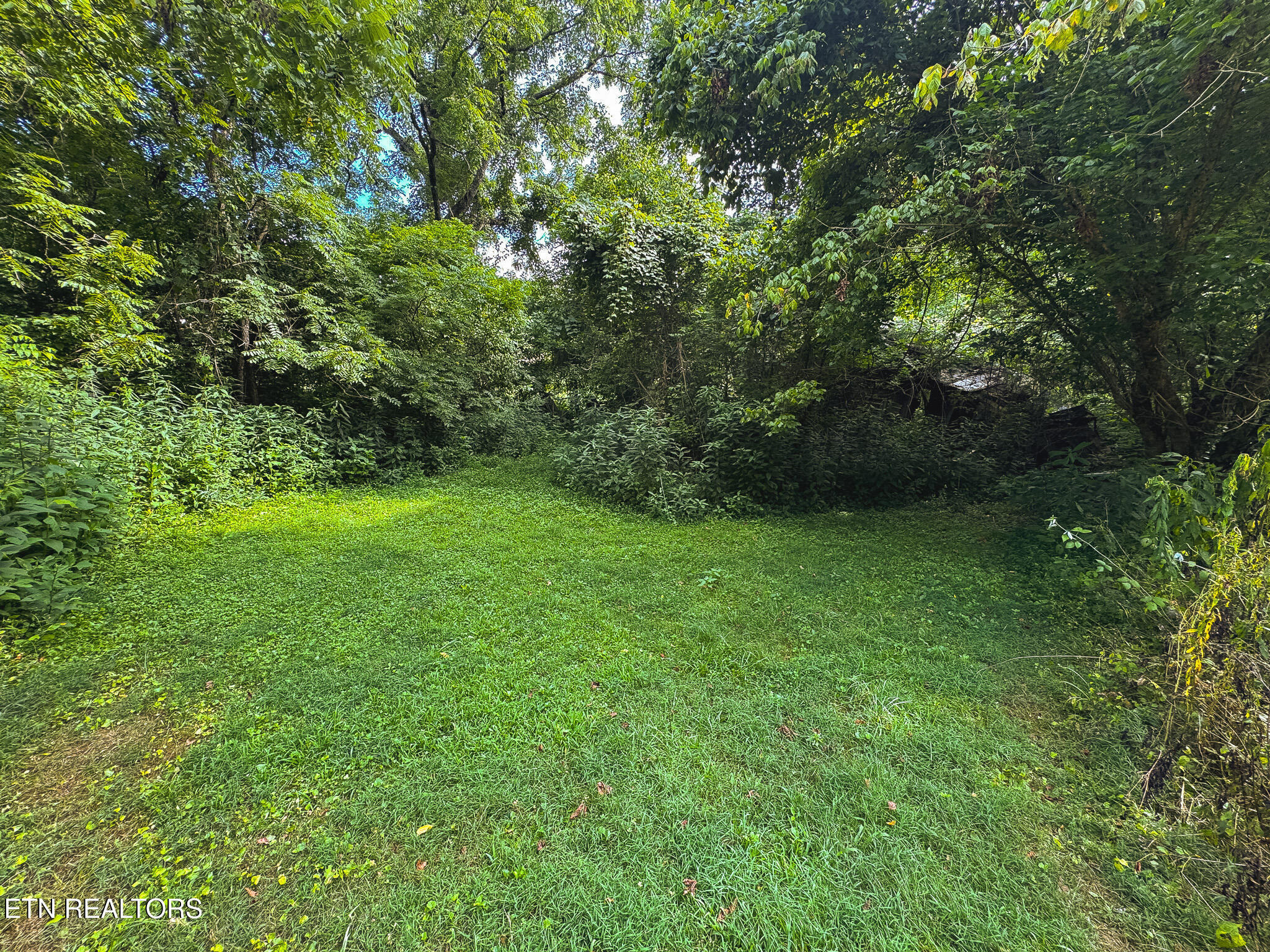 0 Gravely Valley Road Eidson TN 37731