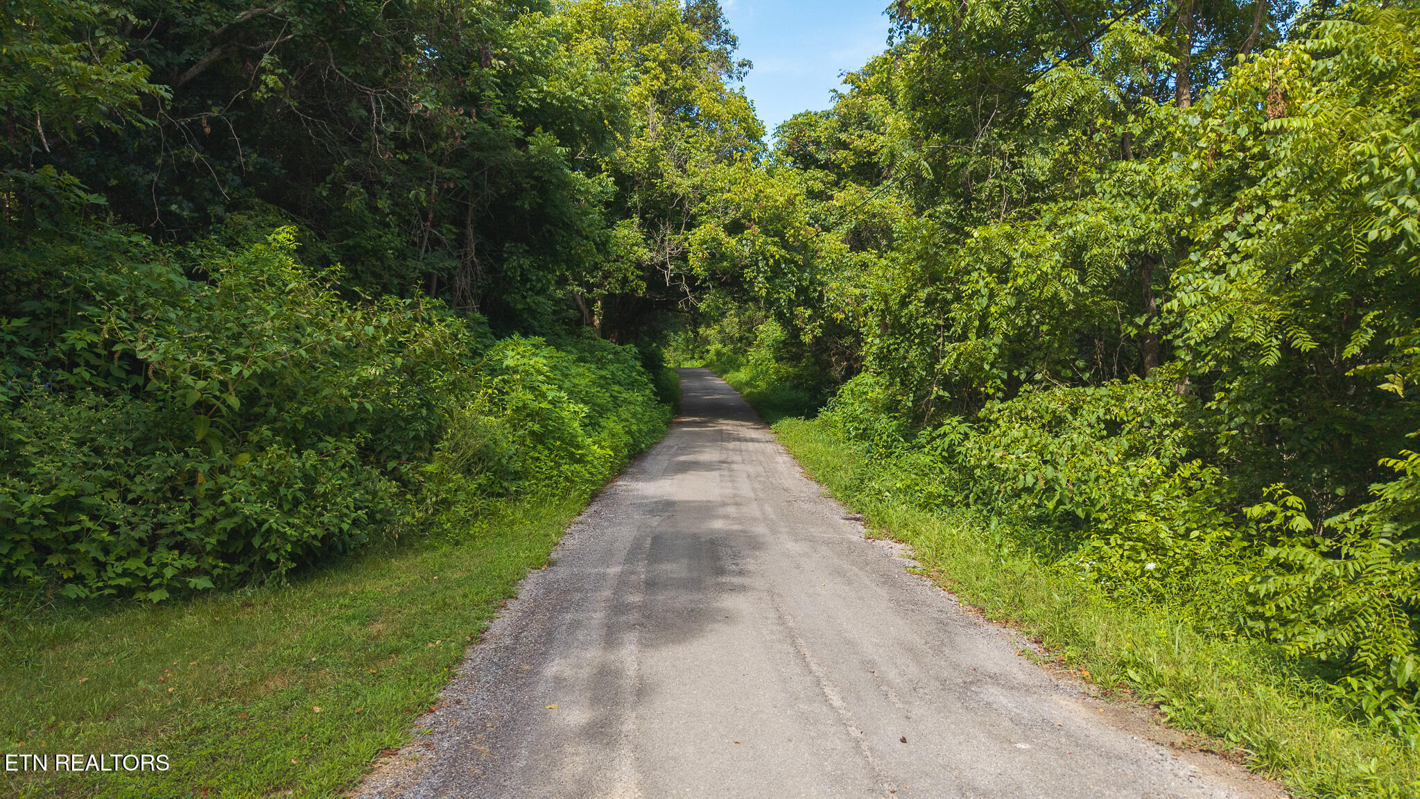 0 Gravely Valley Road Eidson TN 37731
