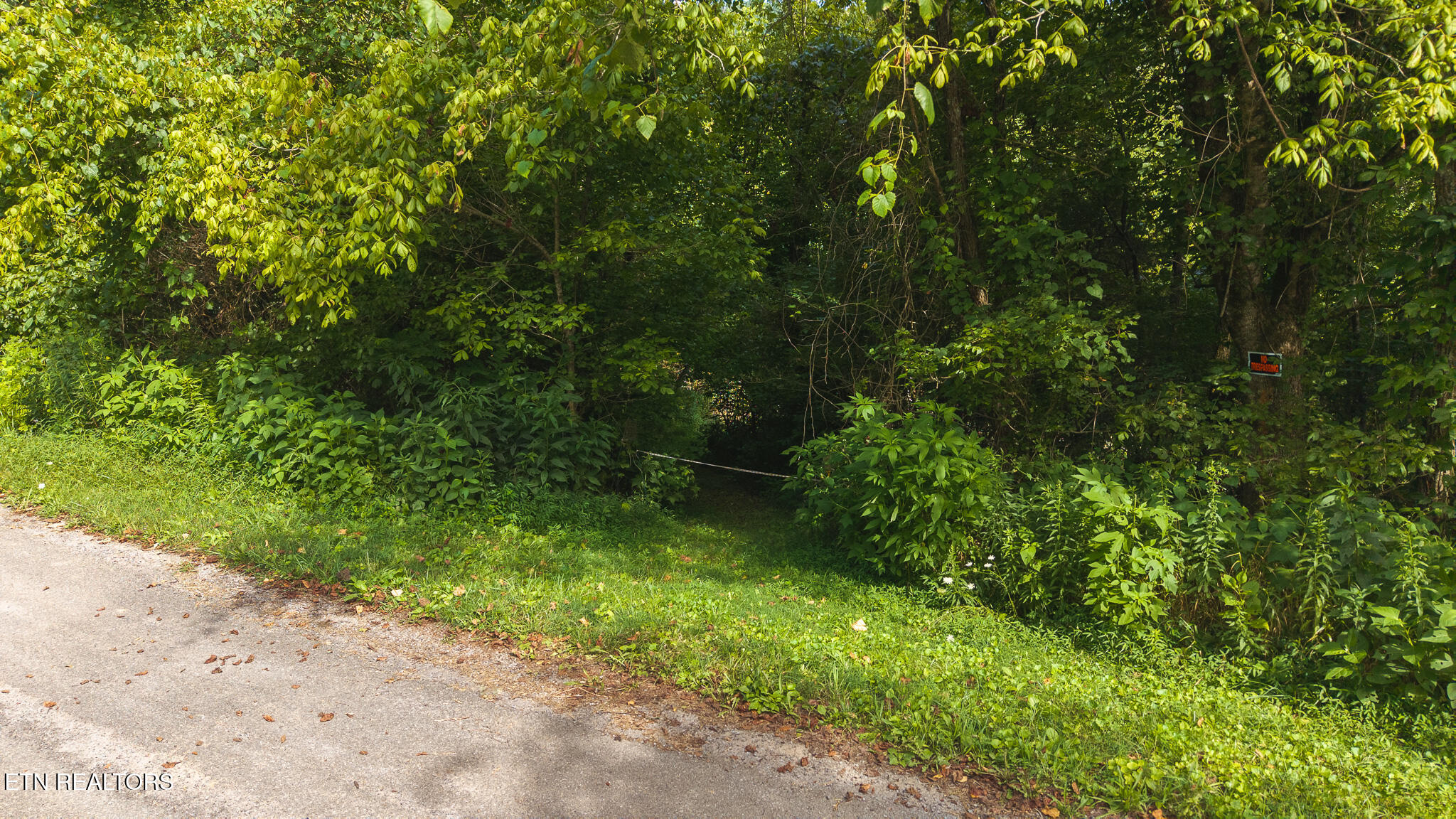 0 Gravely Valley Road Eidson TN 37731