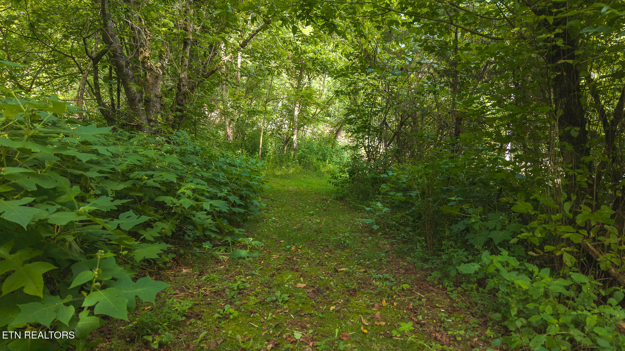 0 Gravely Valley Road Eidson TN 37731