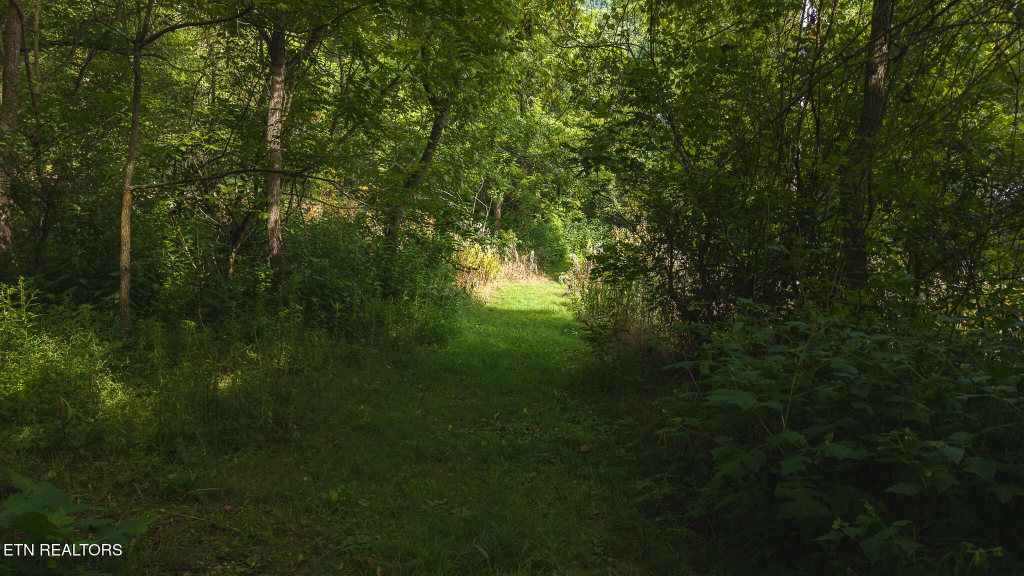 0 Gravely Valley Road Eidson TN 37731