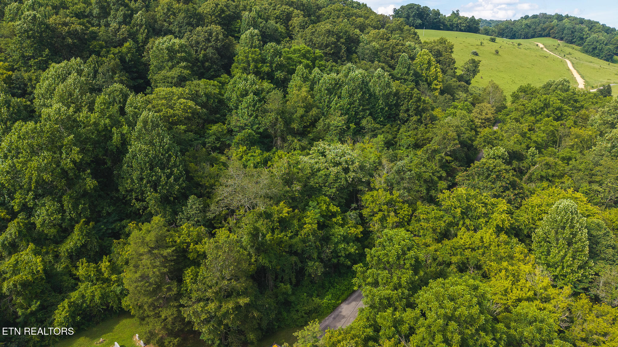 0 Gravely Valley Road Eidson TN 37731