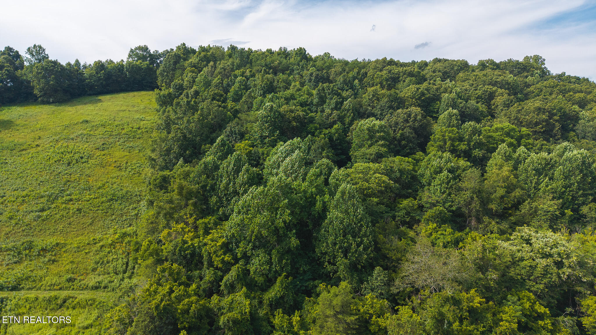 0 Gravely Valley Road Eidson TN 37731