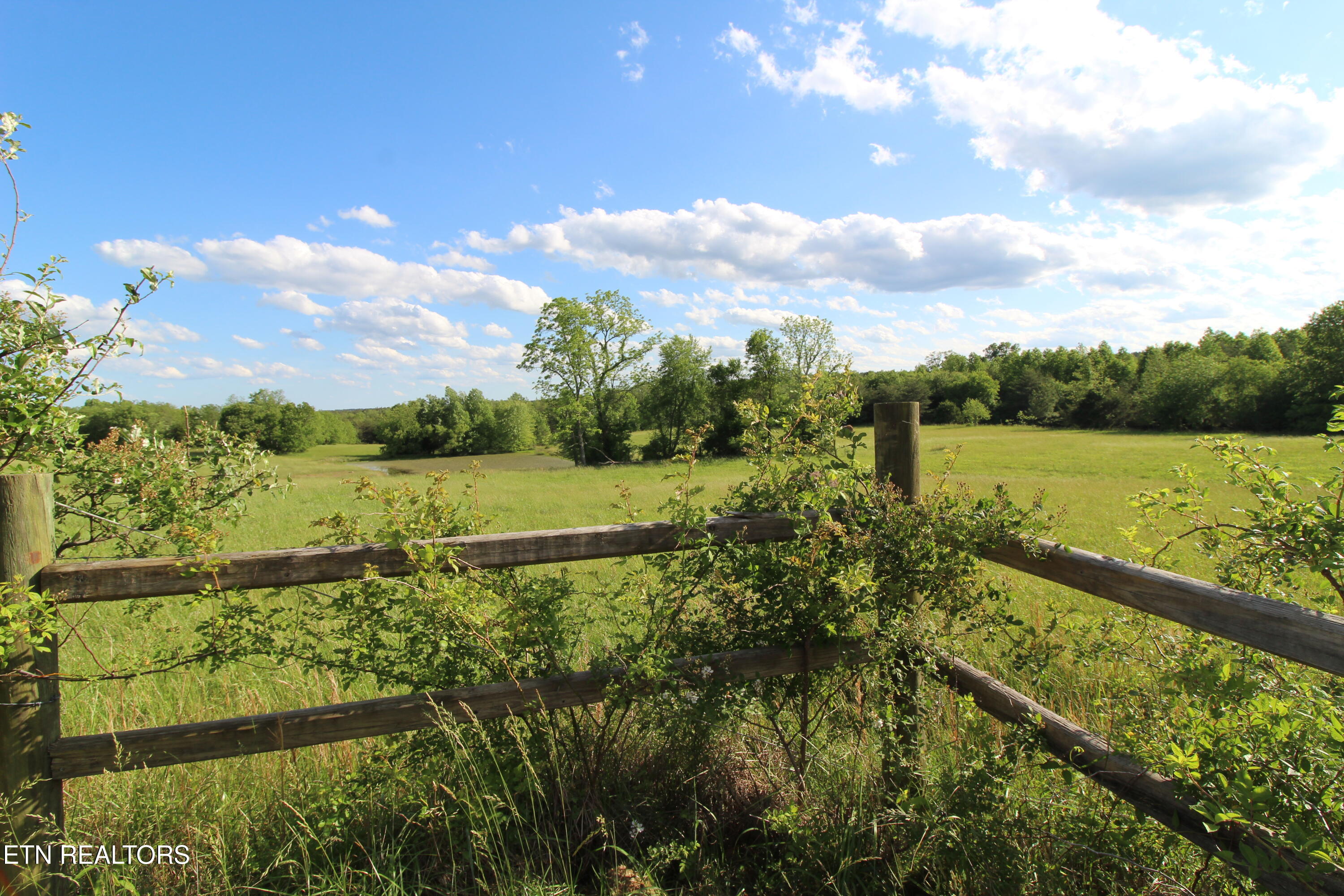 1038 Newton Lane Crossville TN 38572