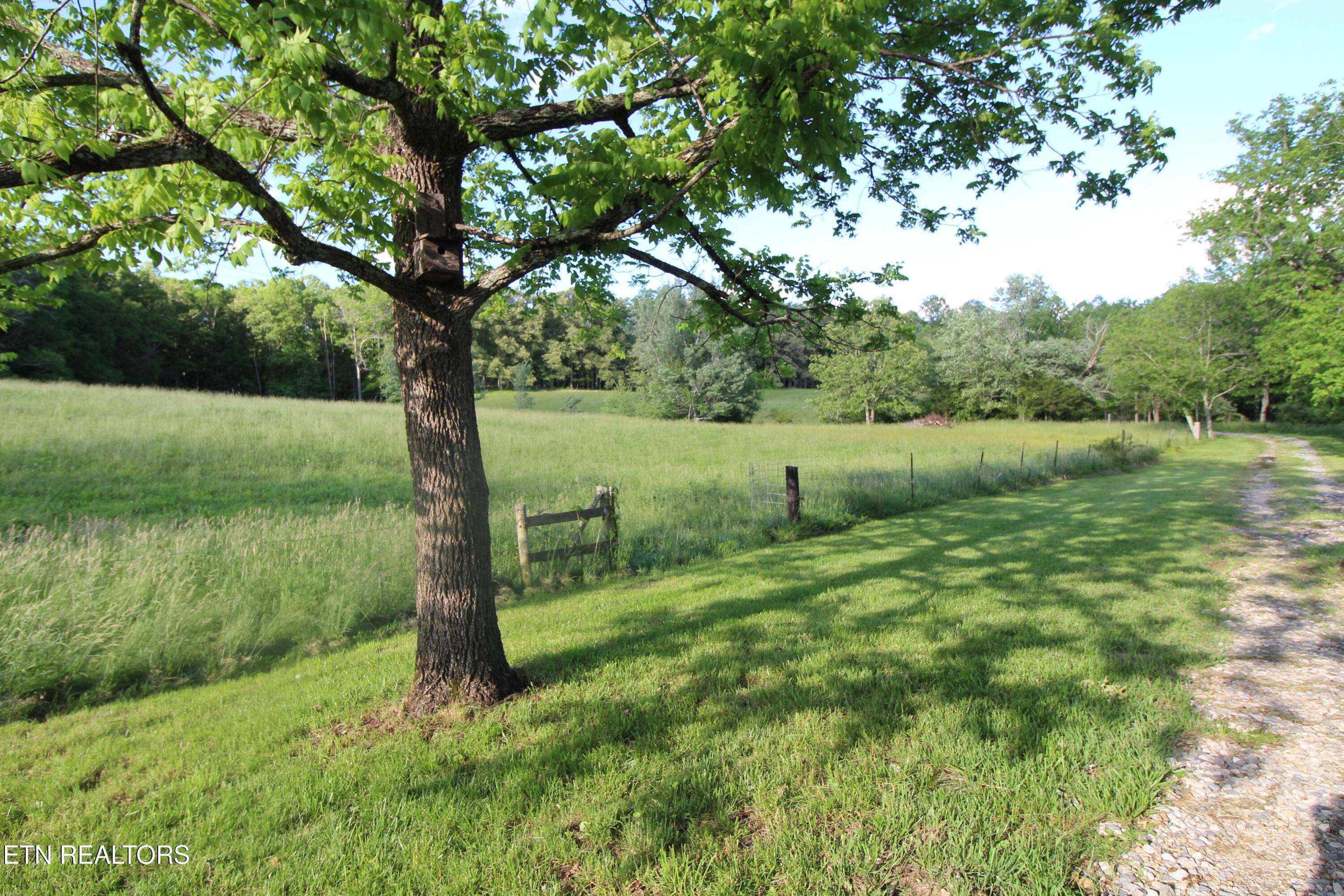 1038 Newton Lane Crossville TN 38572