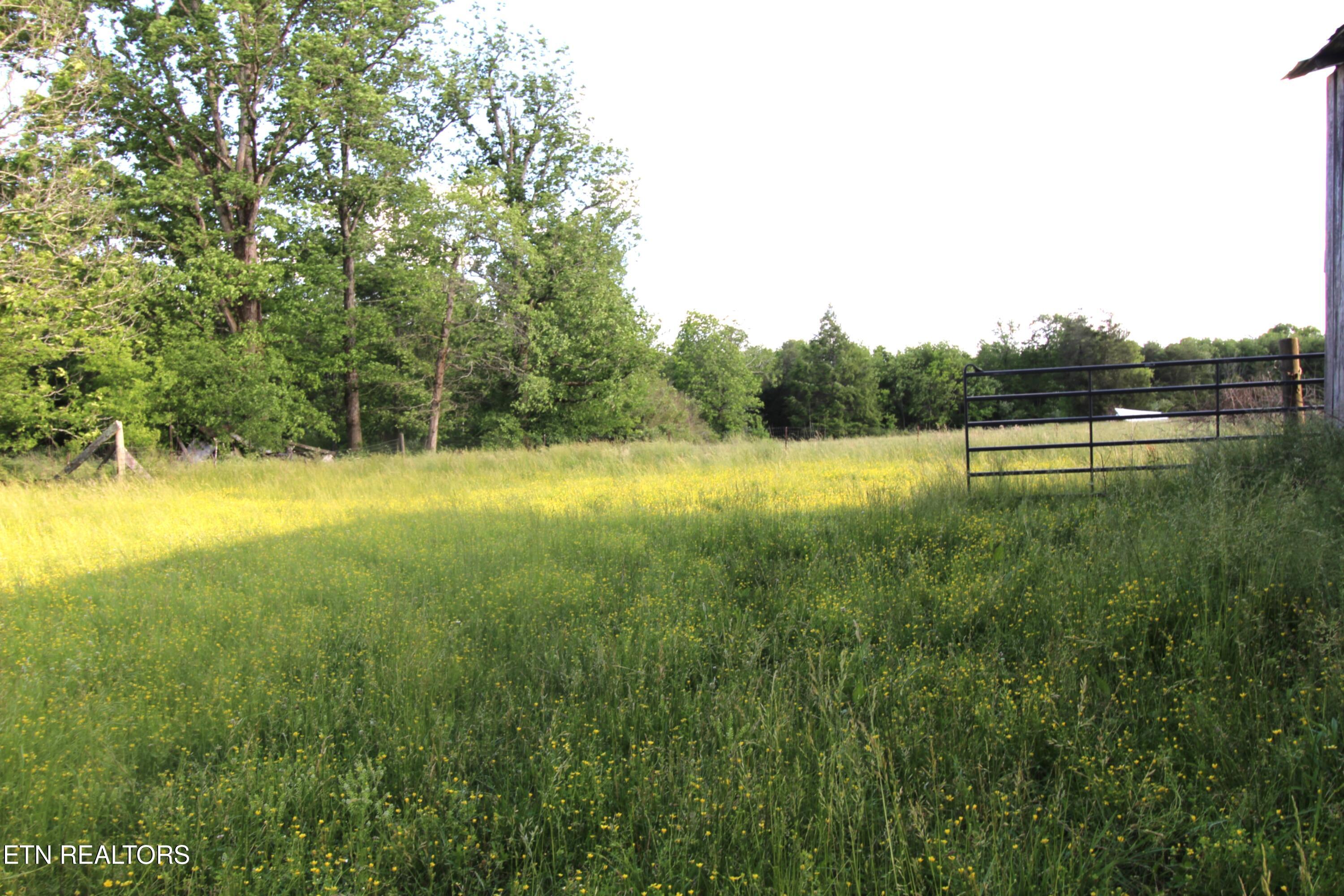 1038 Newton Lane Crossville TN 38572