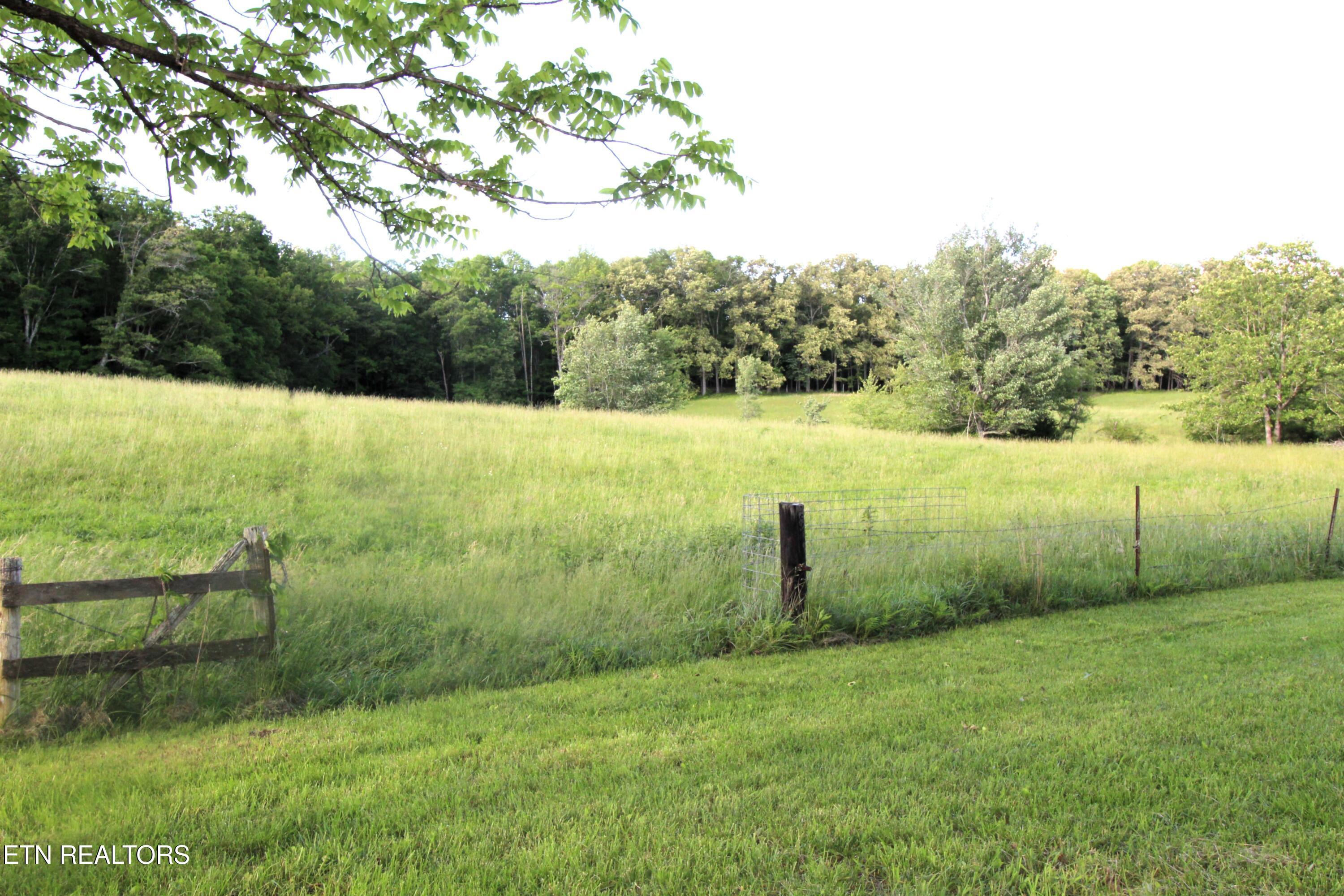 1038 Newton Lane Crossville TN 38572