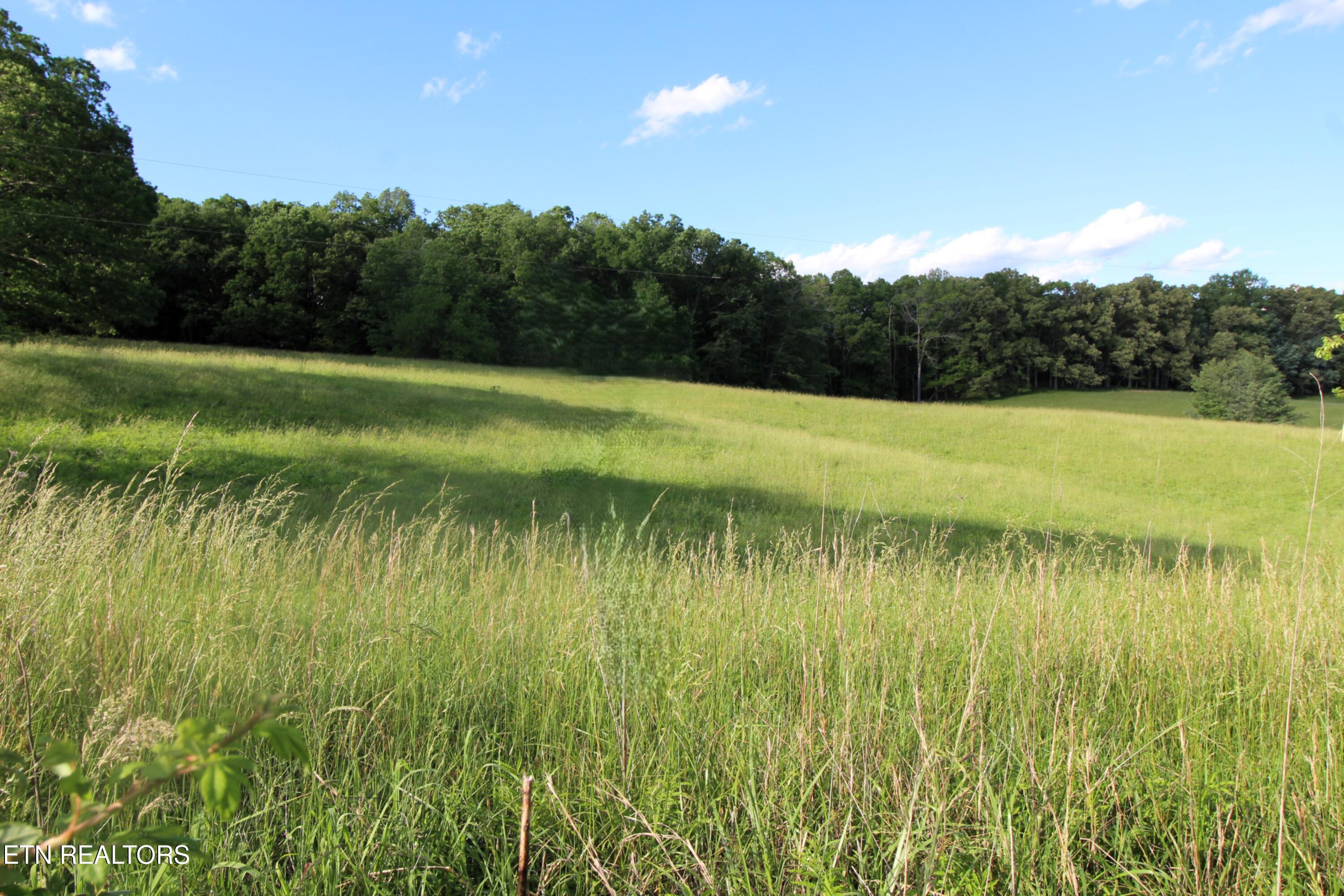 1038 Newton Lane Crossville TN 38572