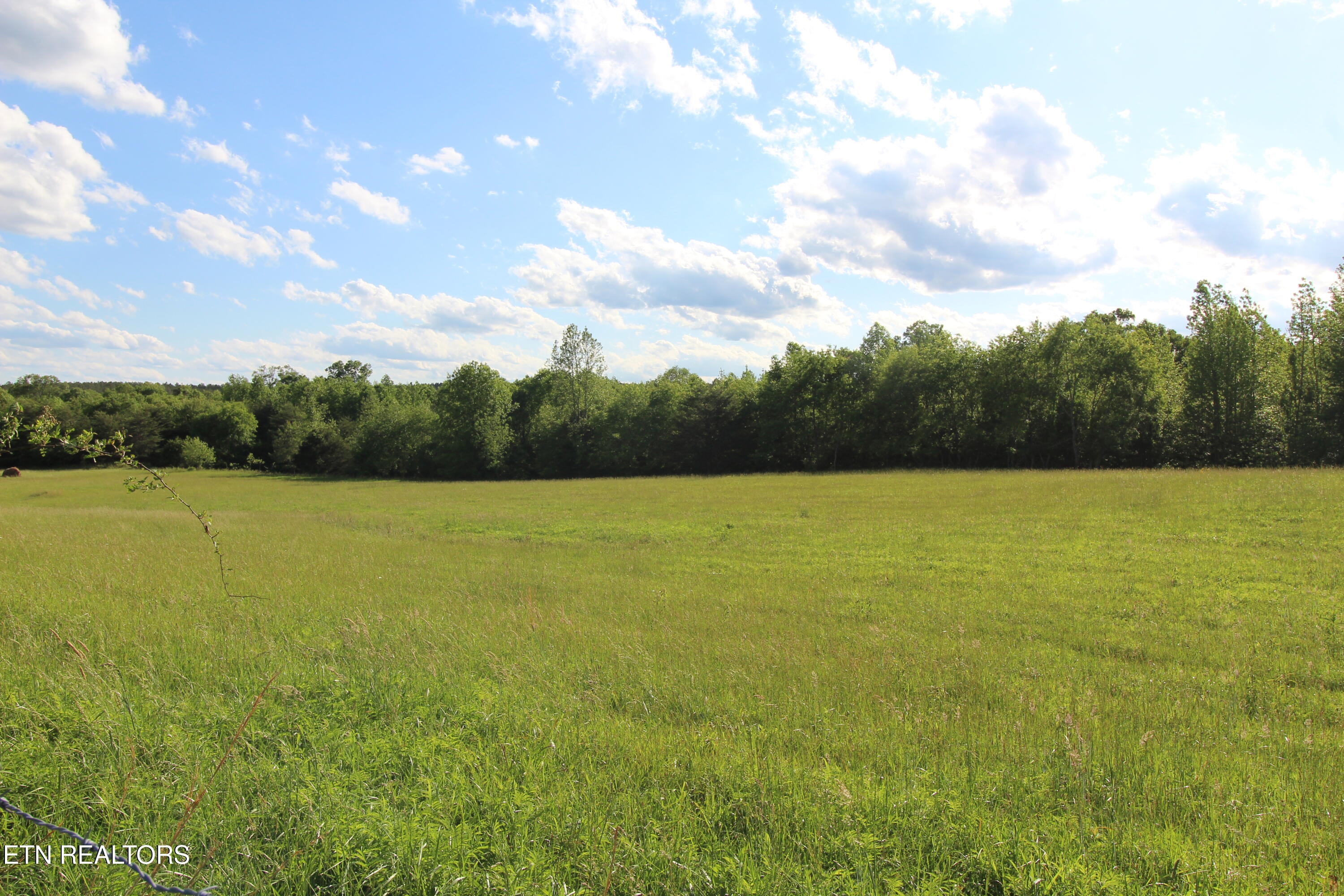 1038 Newton Lane Crossville TN 38572