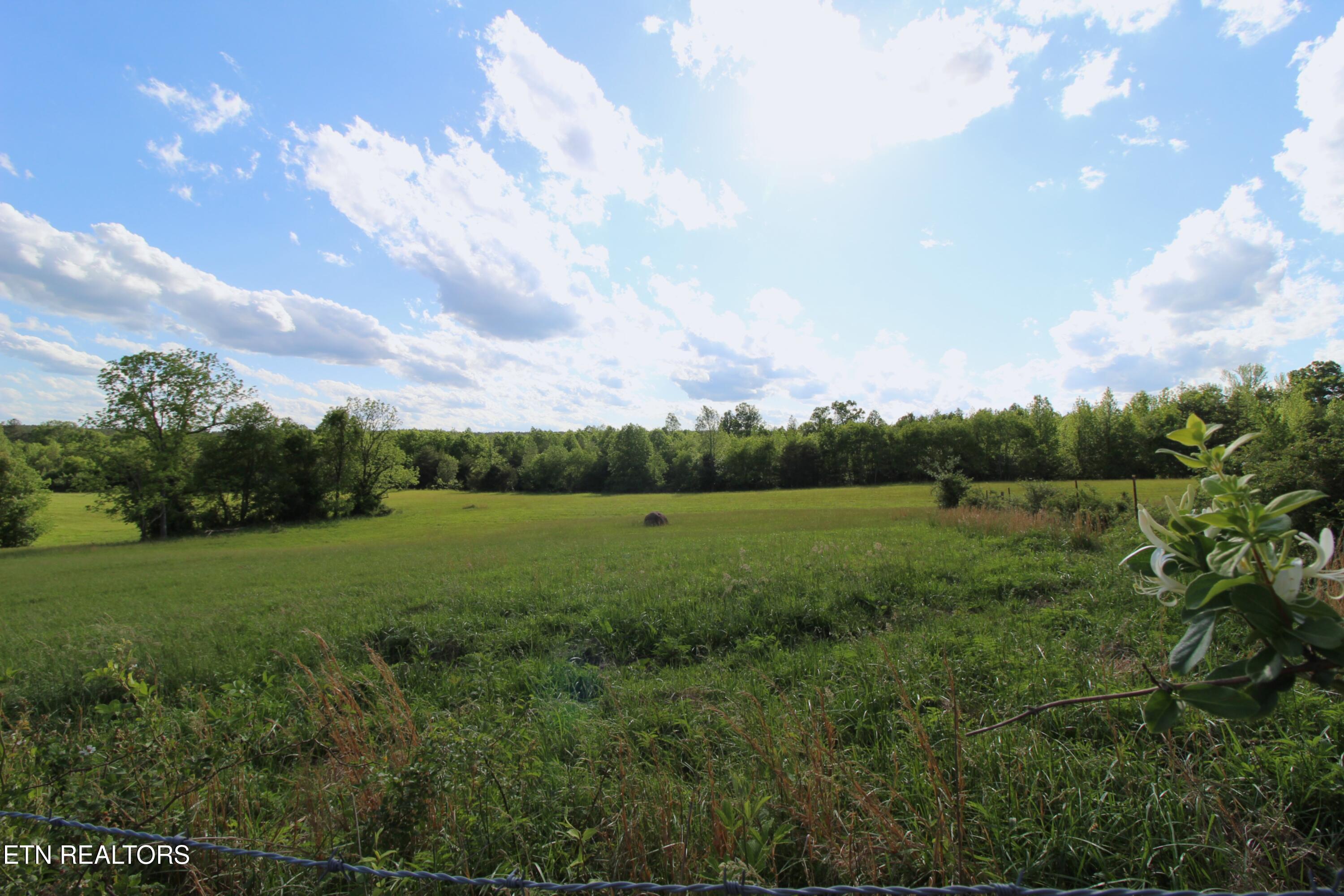 1038 Newton Lane Crossville TN 38572