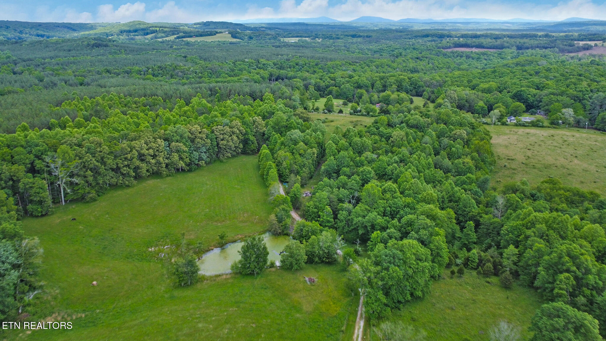 1038 Newton Lane Crossville TN 38572