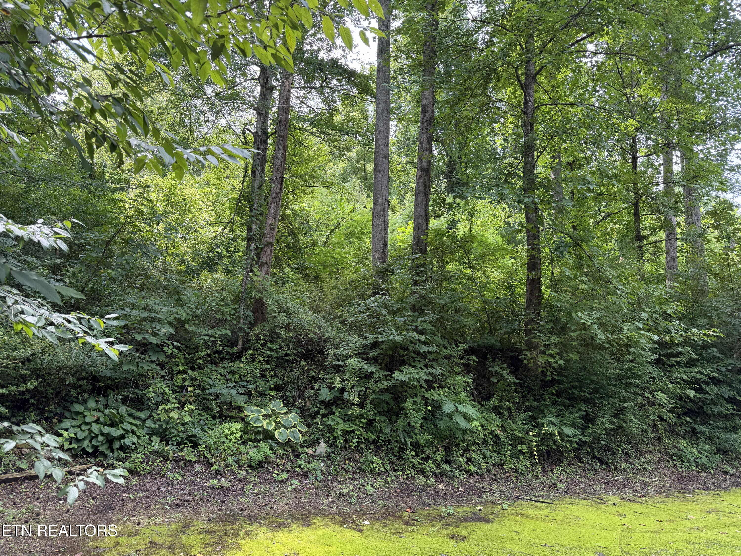 315 Hilltop Road Gatlinburg TN 37738