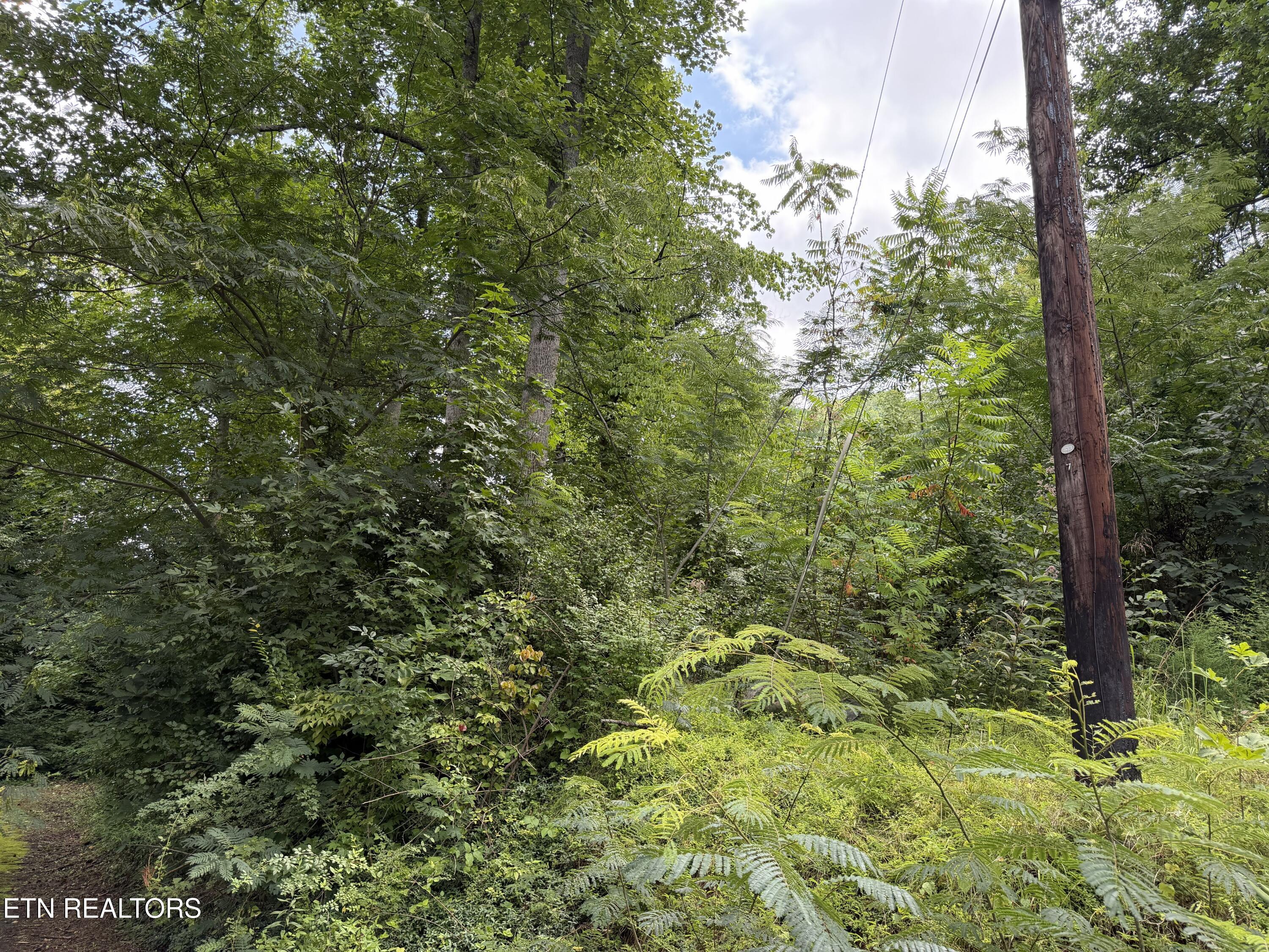 315 Hilltop Road Gatlinburg TN 37738