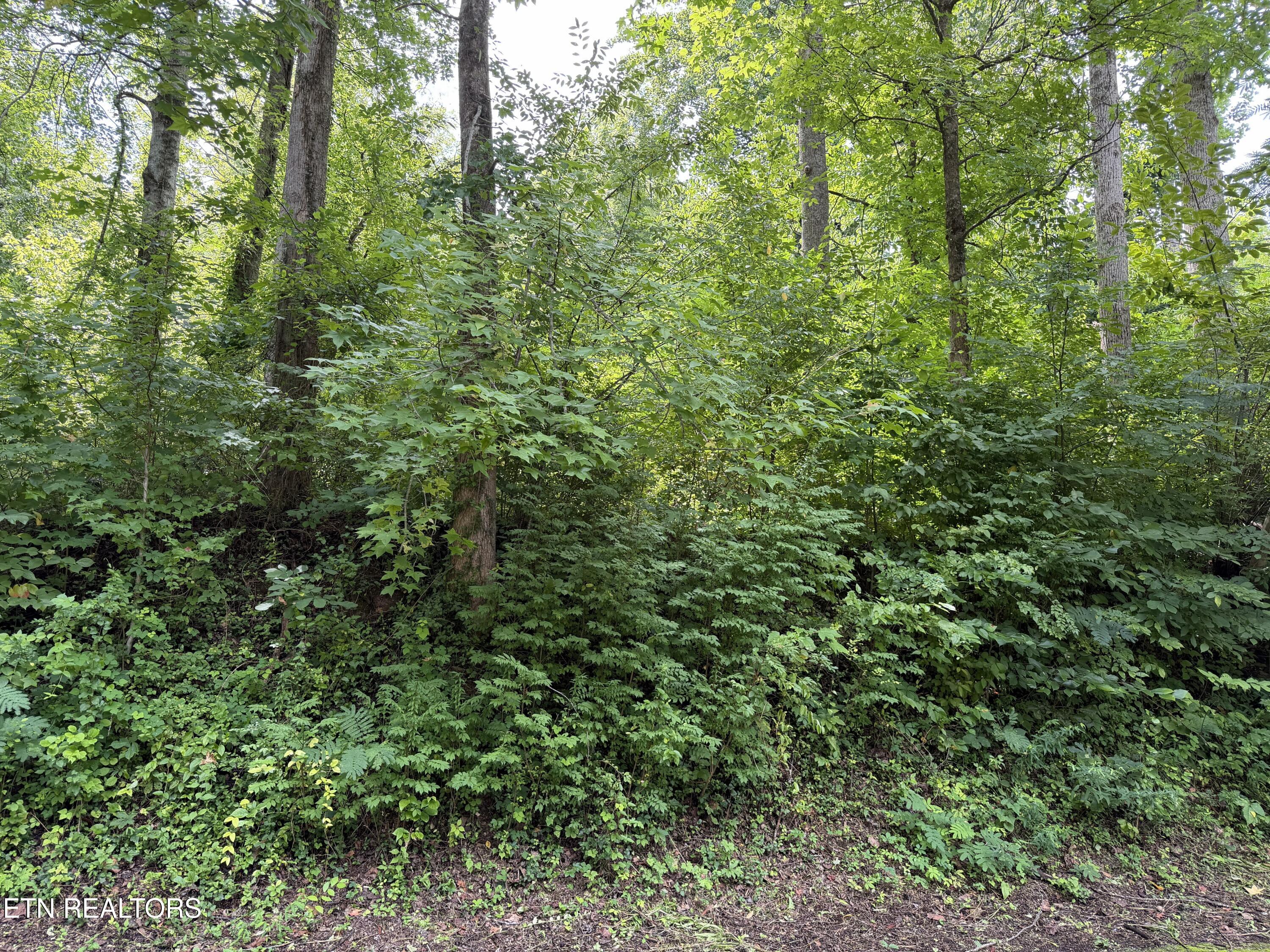 315 Hilltop Road Gatlinburg TN 37738