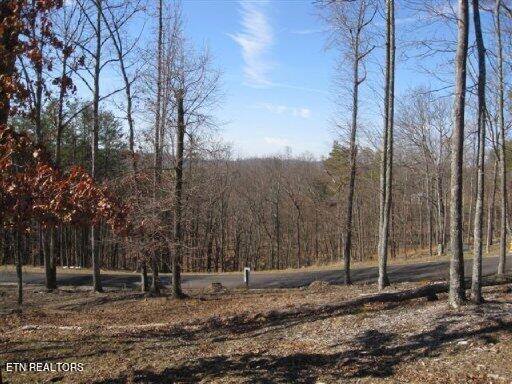 Lot #32 Bayside Boulevard Bean Station TN 37708