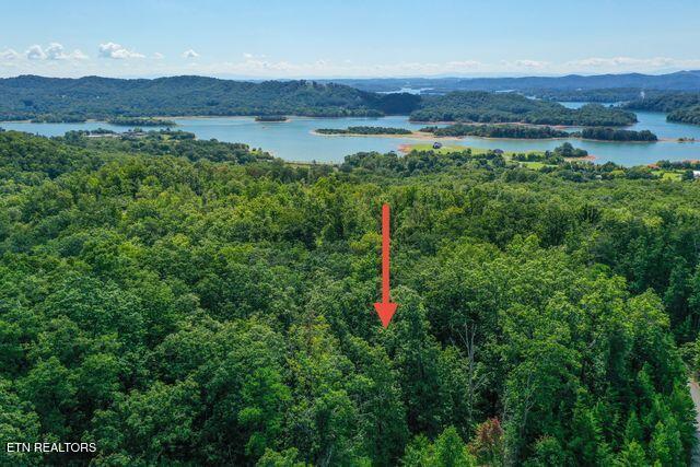 Lot #32 Bayside Boulevard Bean Station TN 37708