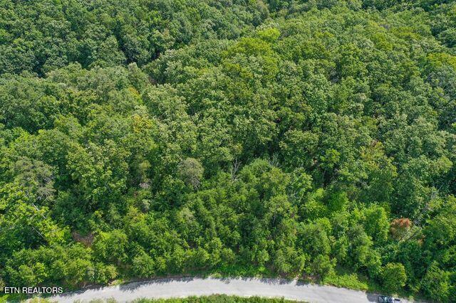 Lot #32 Bayside Boulevard Bean Station TN 37708