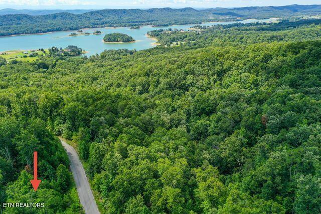 Lot #32 Bayside Boulevard Bean Station TN 37708