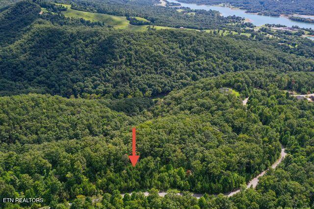 Lot #32 Bayside Boulevard Bean Station TN 37708