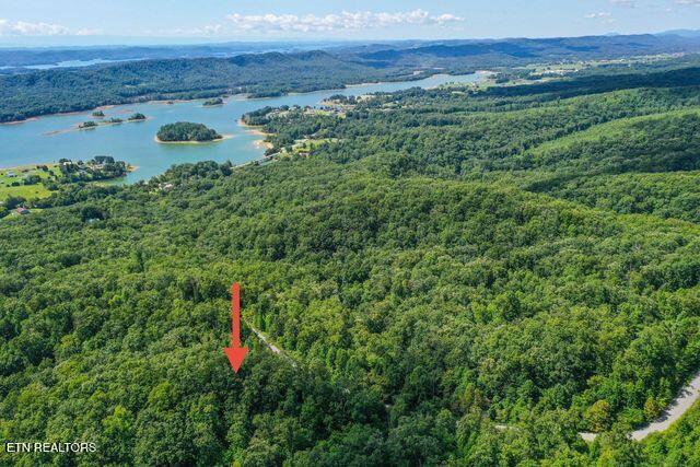 Lot #32 Bayside Boulevard Bean Station TN 37708