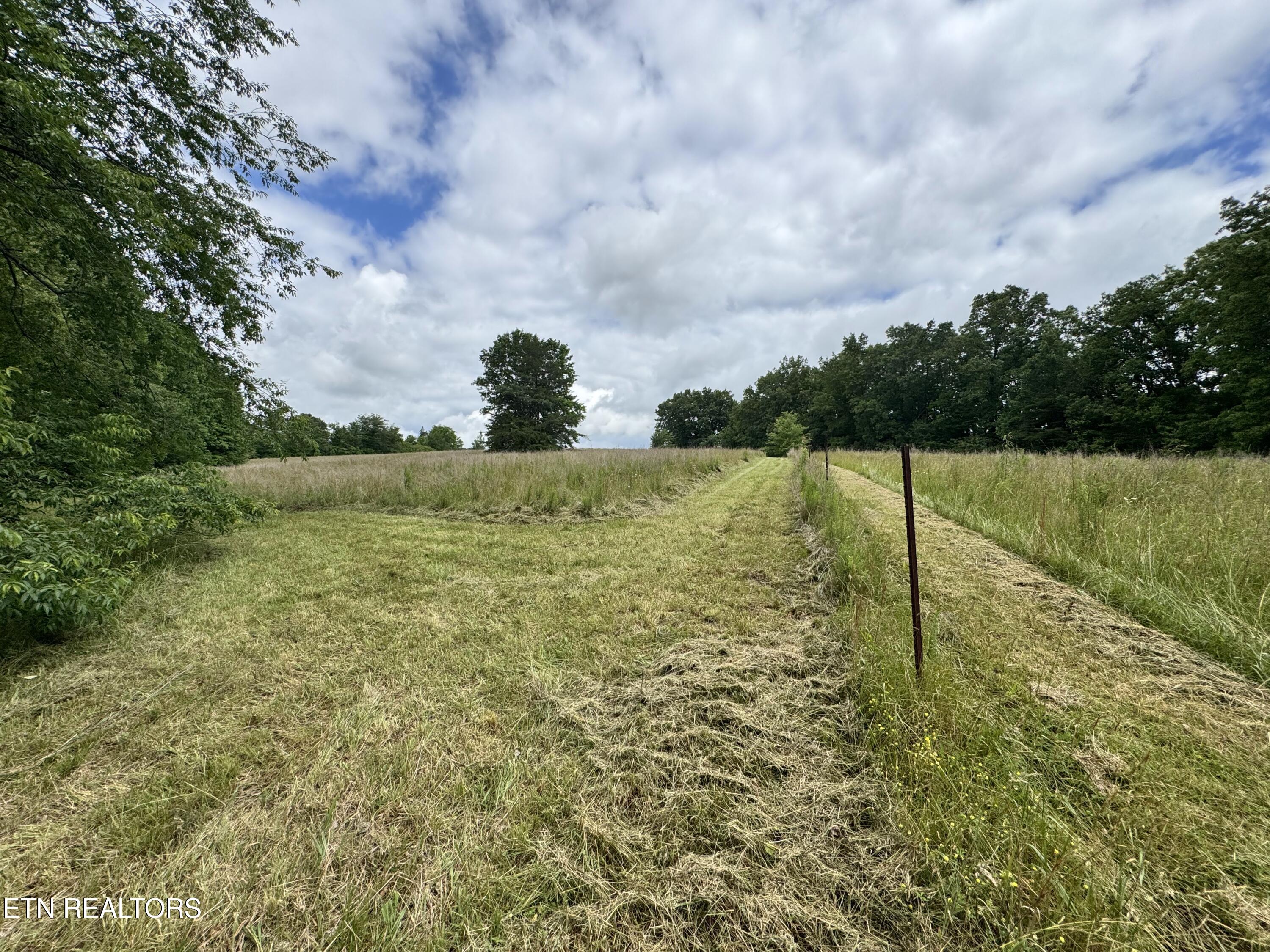 1759 Meister Hills Road Drive Deer Lodge TN 37726