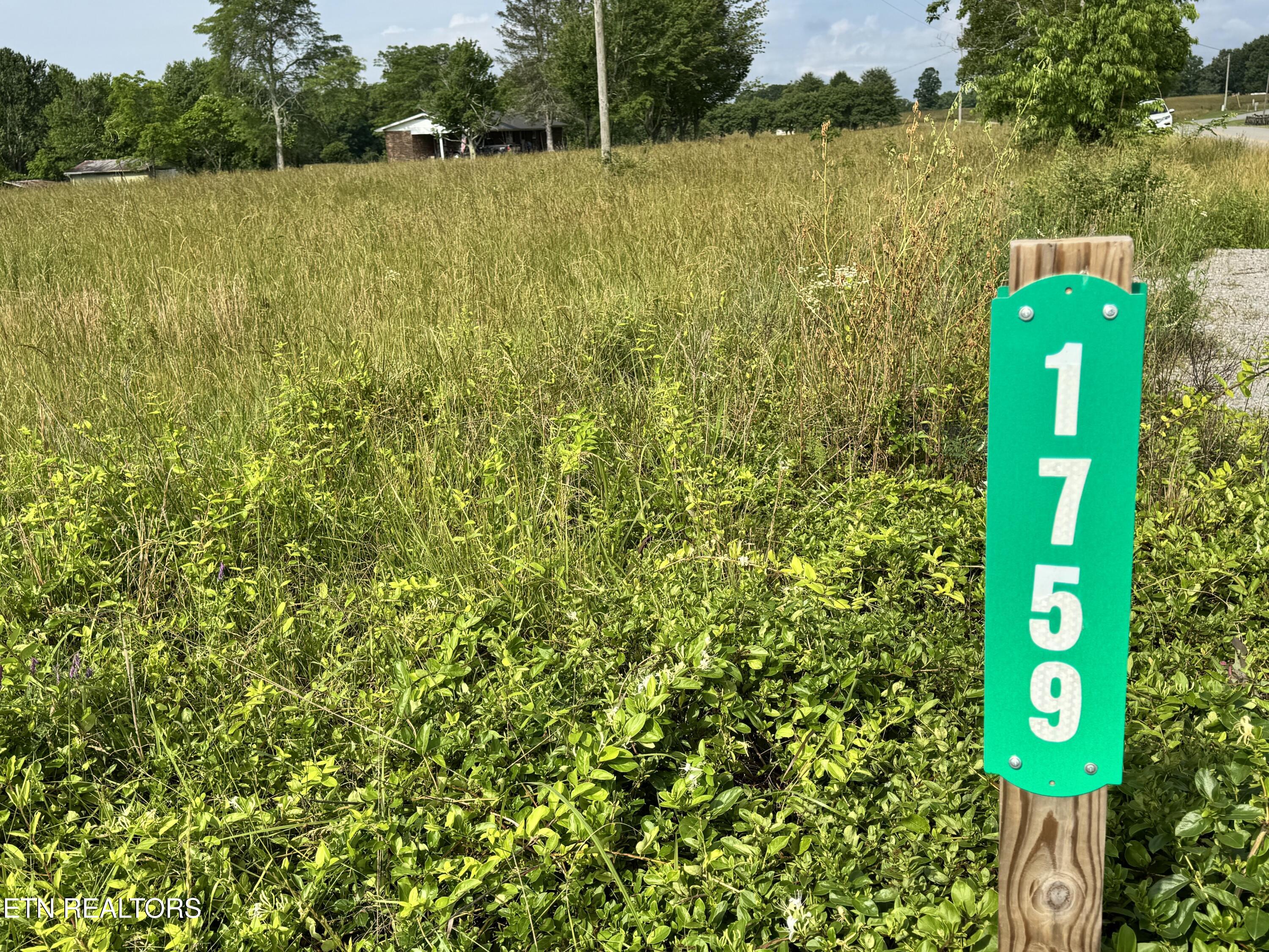 1759 Meister Hills Road Drive Deer Lodge TN 37726