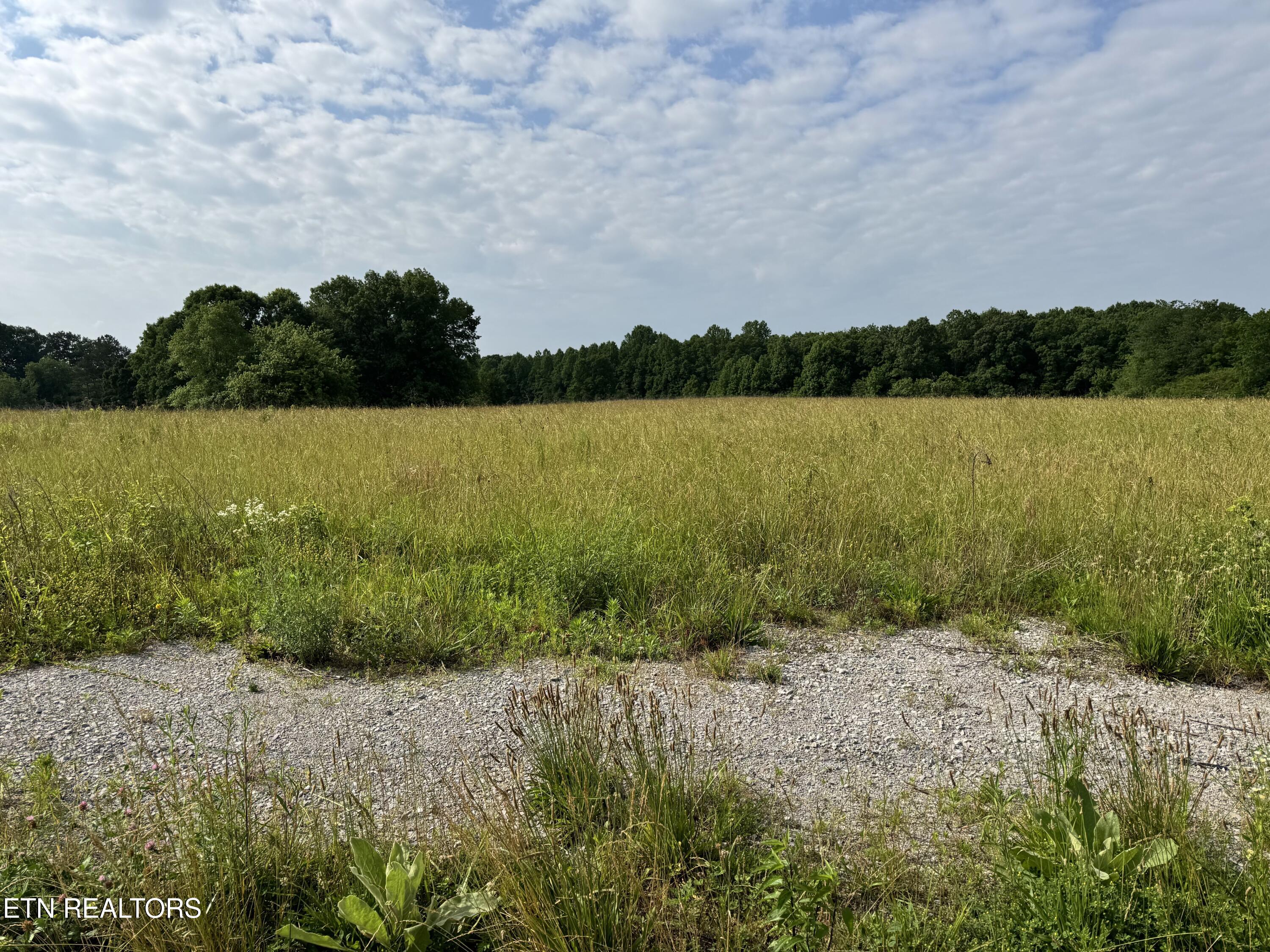 1759 Meister Hills Road Drive Deer Lodge TN 37726