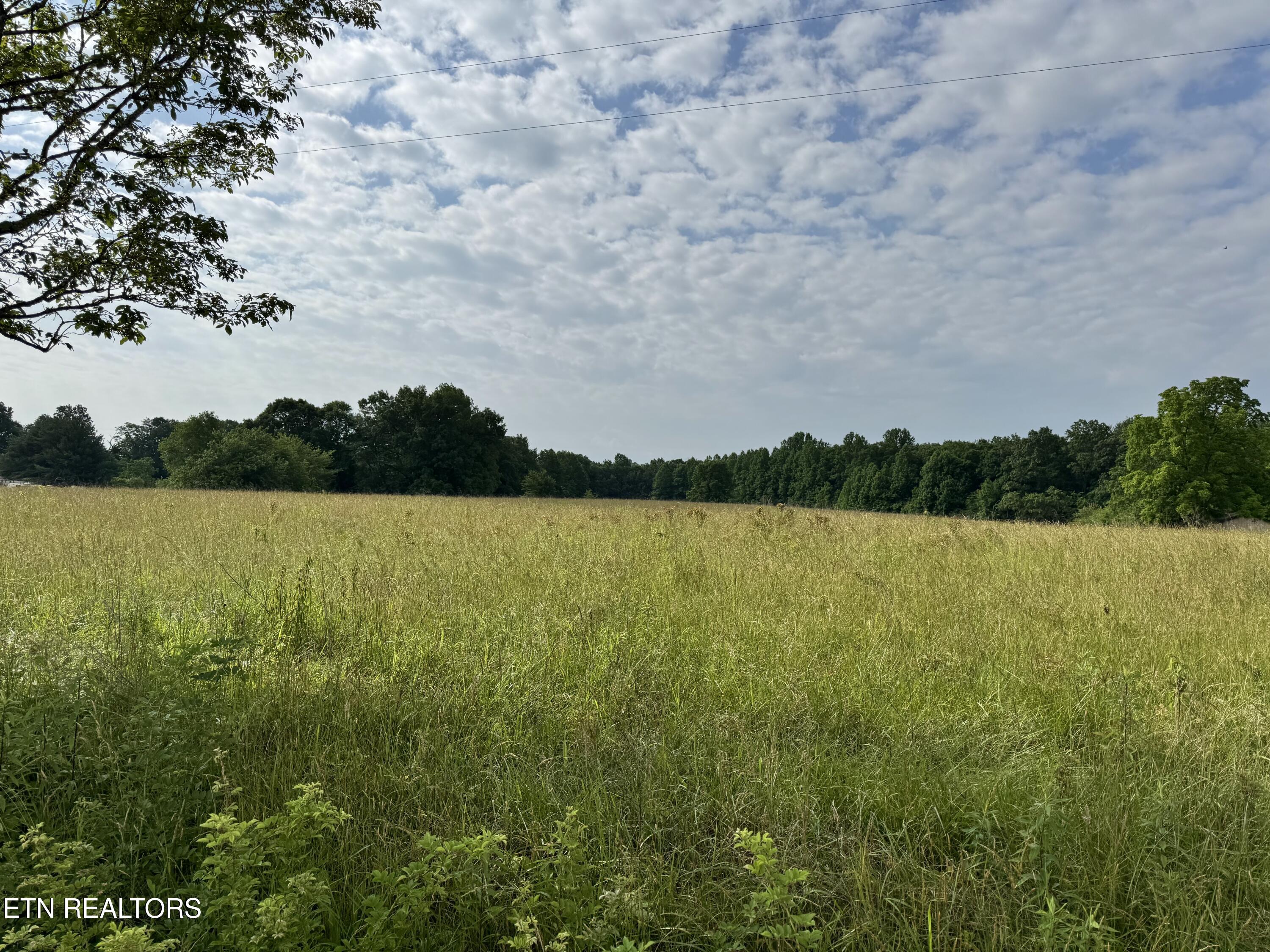 1759 Meister Hills Road Drive Deer Lodge TN 37726