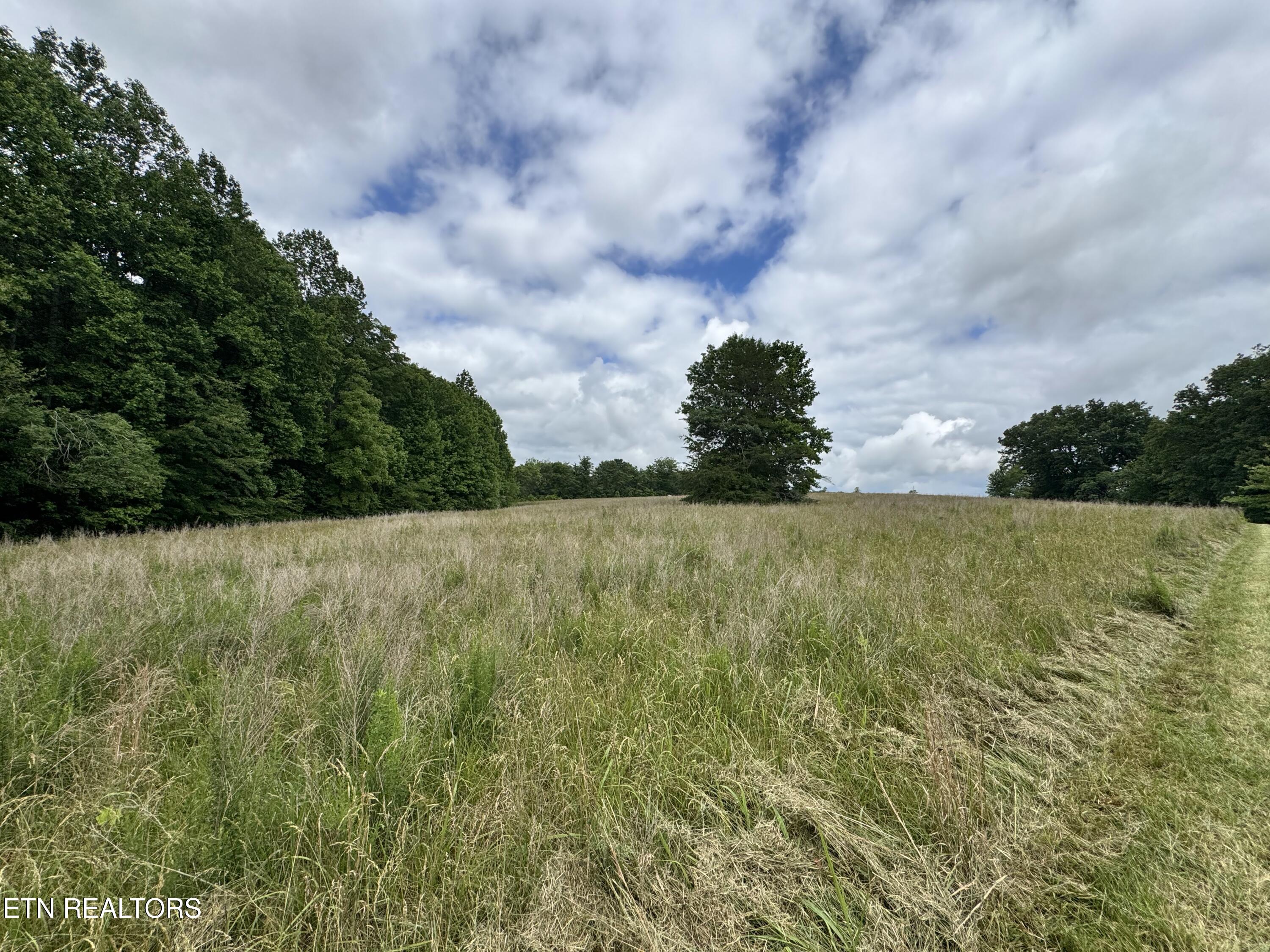 1759 Meister Hills Road Drive Deer Lodge TN 37726