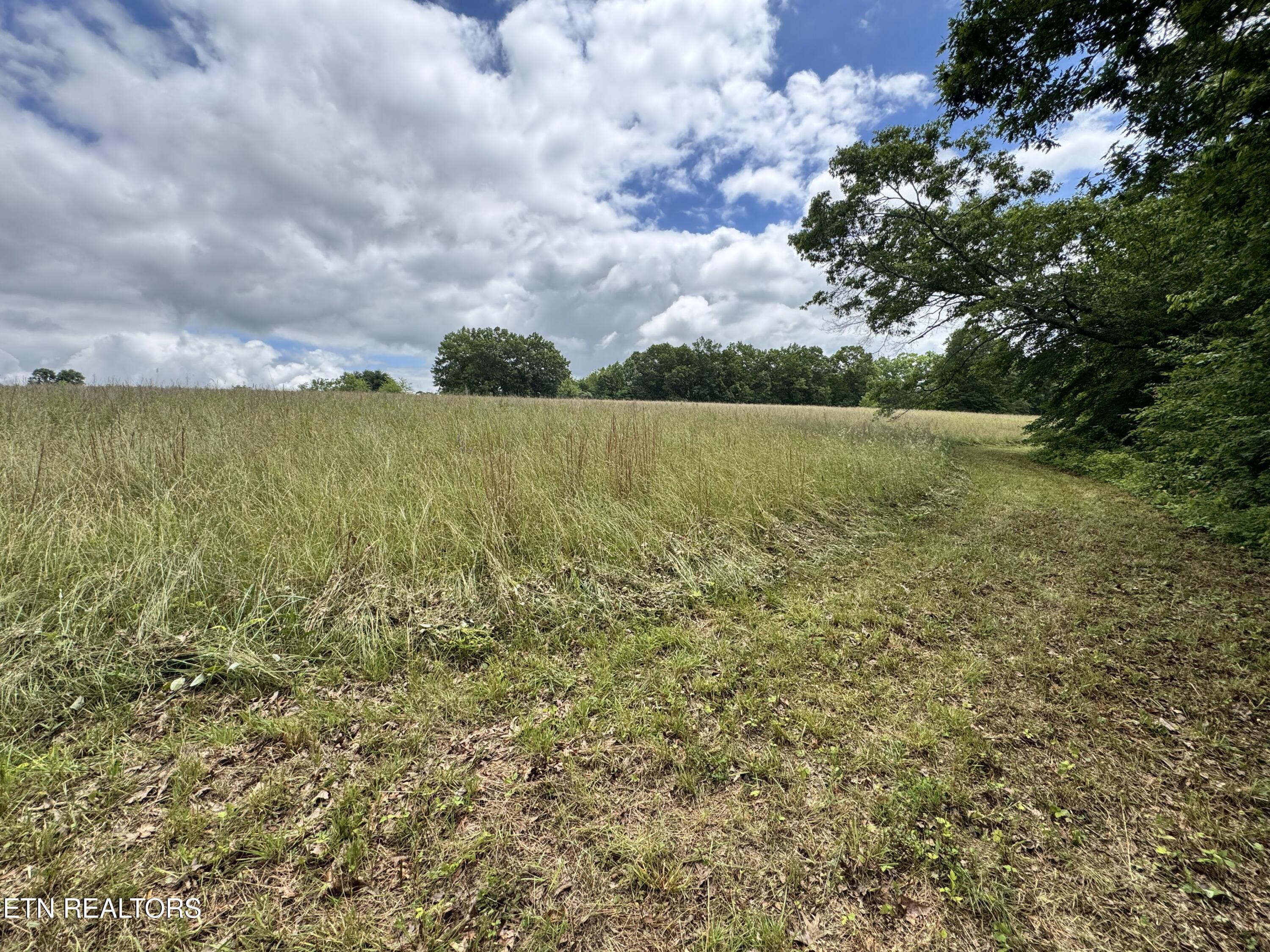 1759 Meister Hills Road Drive Deer Lodge TN 37726