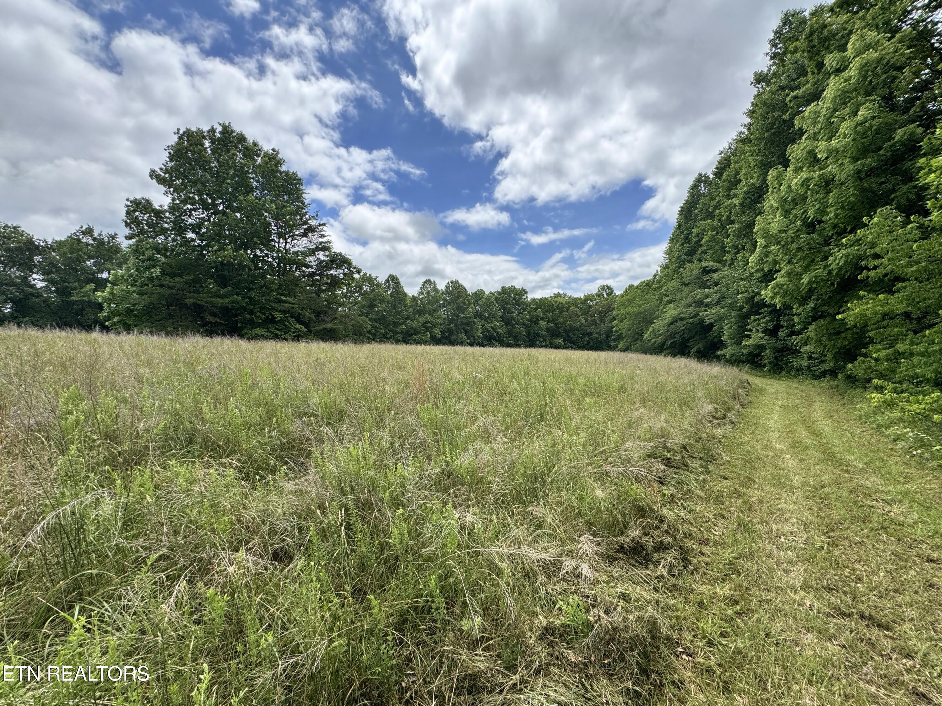1759 Meister Hills Road Drive Deer Lodge TN 37726
