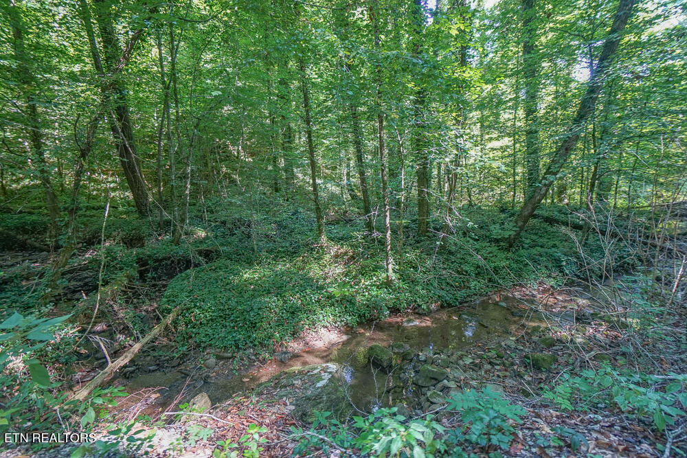 Bethel Church Road Townsend TN 37882