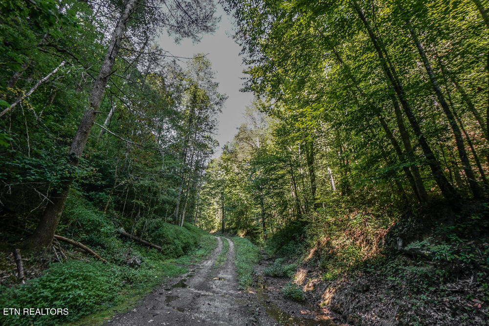 Bethel Church Road Townsend TN 37882
