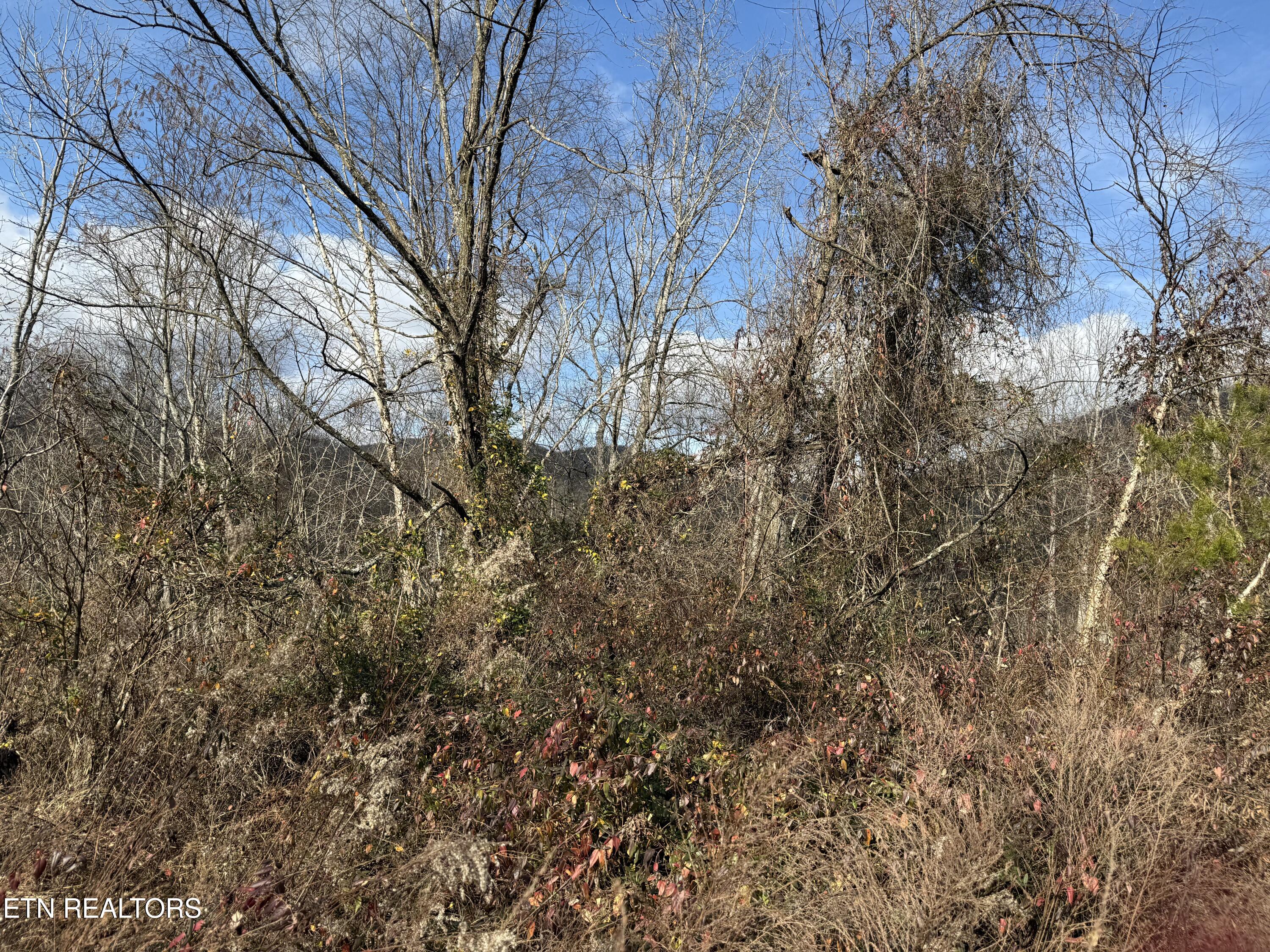 Tenn-ky State Line Tn Winfield TN 37892